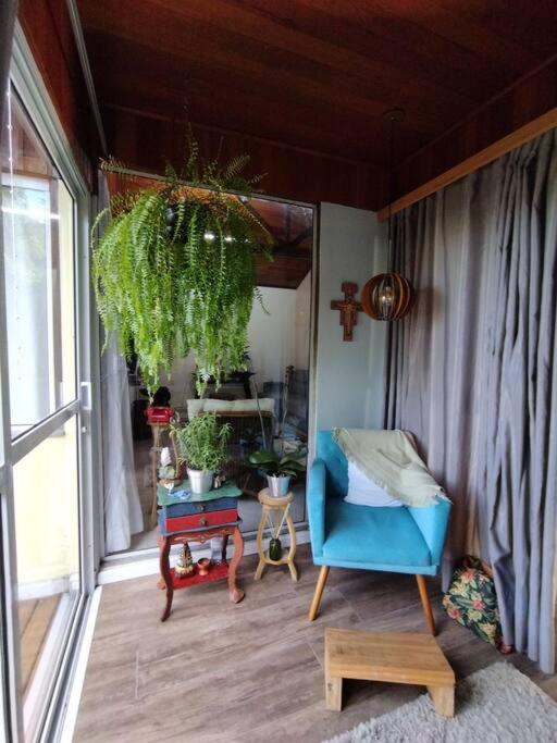 Casa Inteira em Jurerê In e vista panorâmica