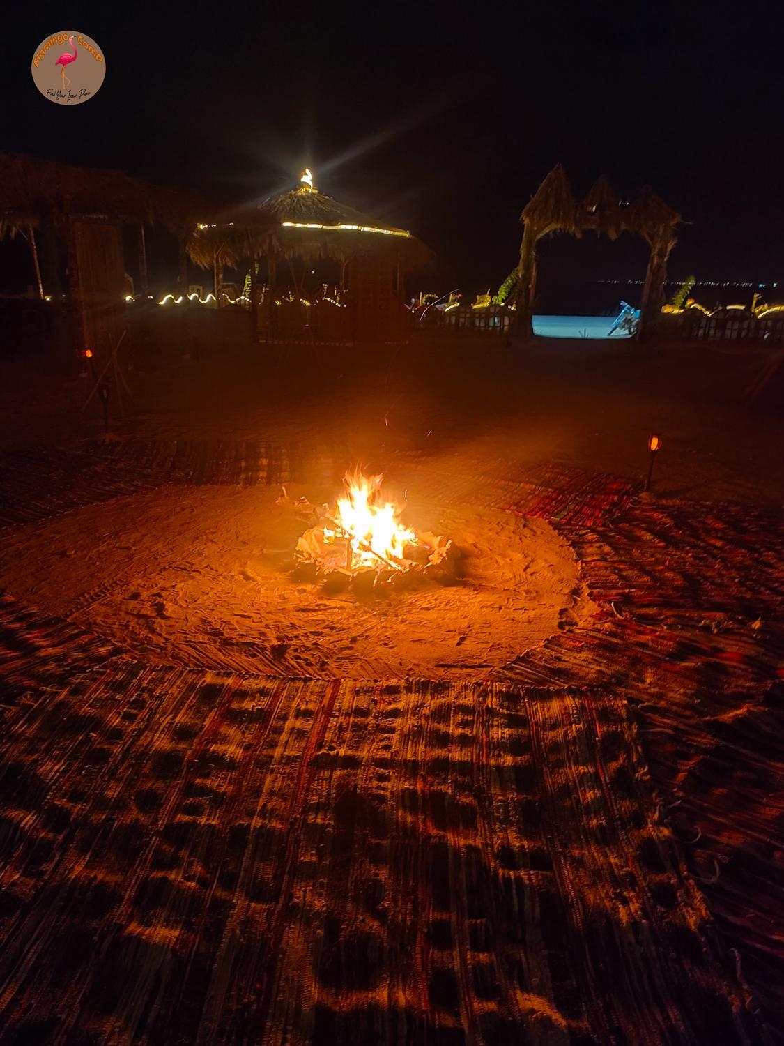 flamingo camp