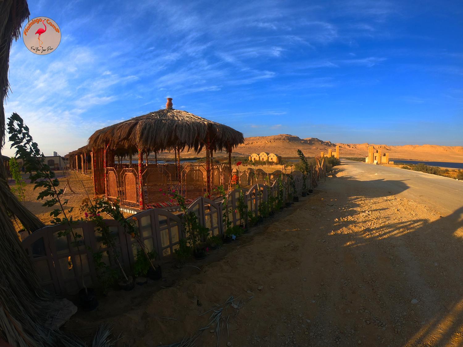 flamingo camp