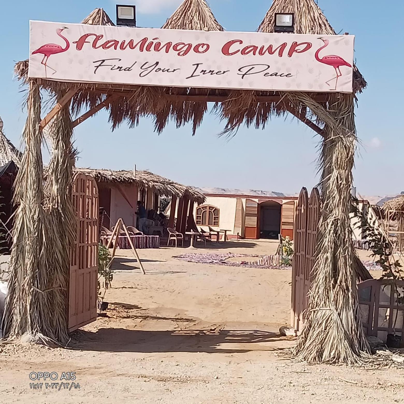 flamingo camp
