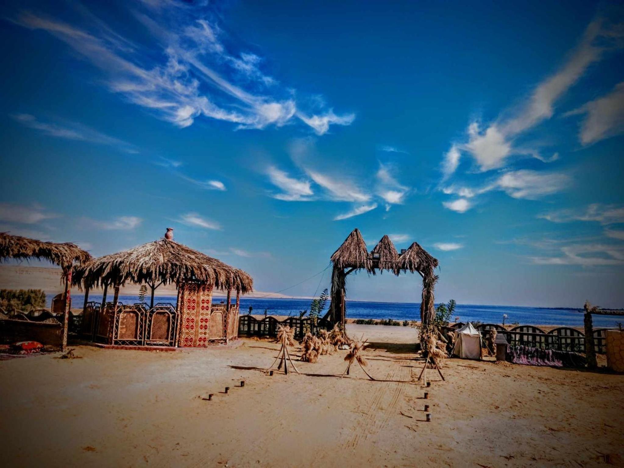 flamingo camp