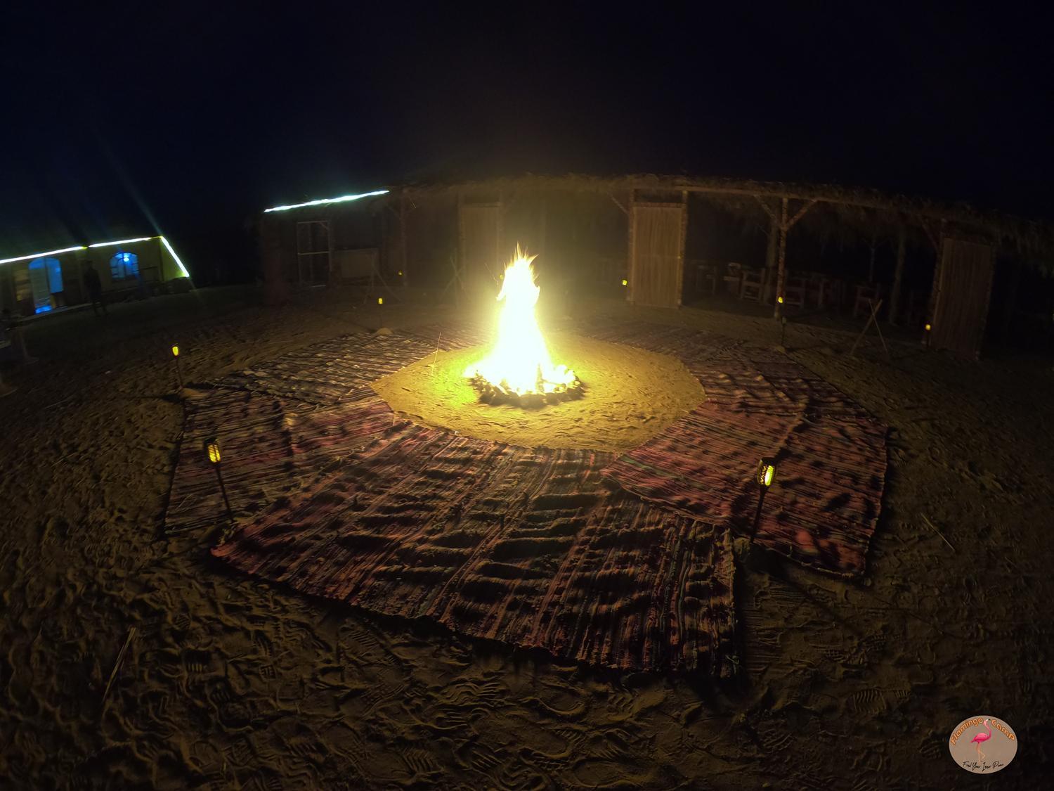 flamingo camp