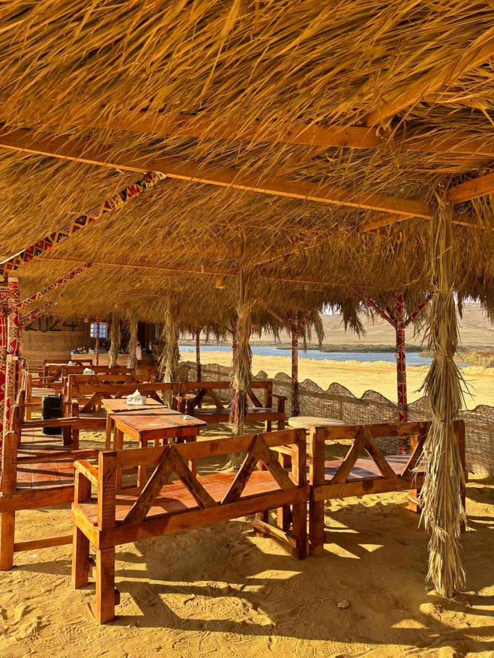 flamingo camp