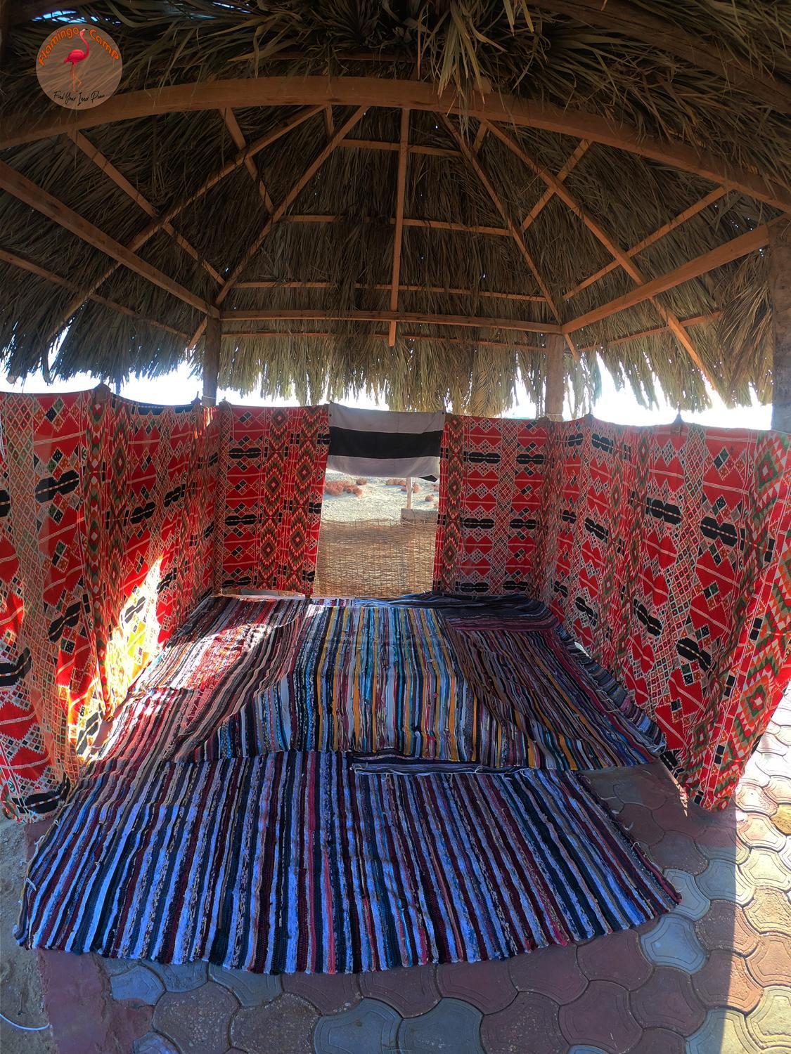 flamingo camp