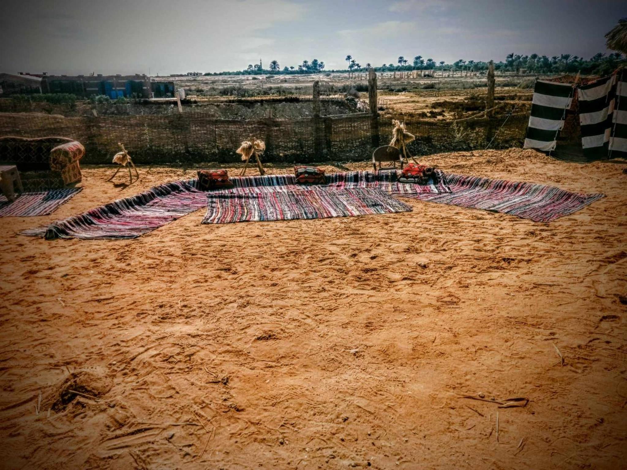 flamingo camp