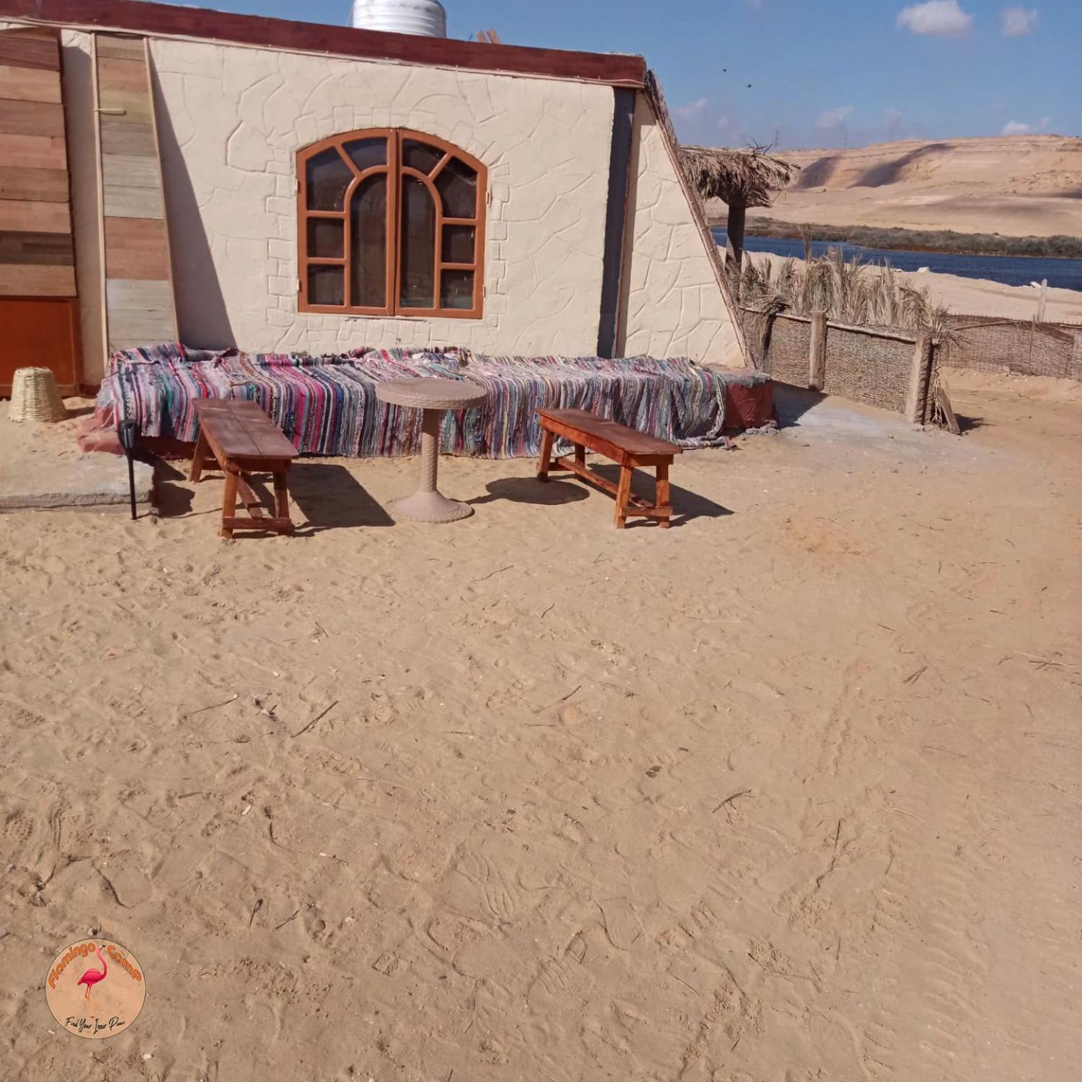 flamingo camp