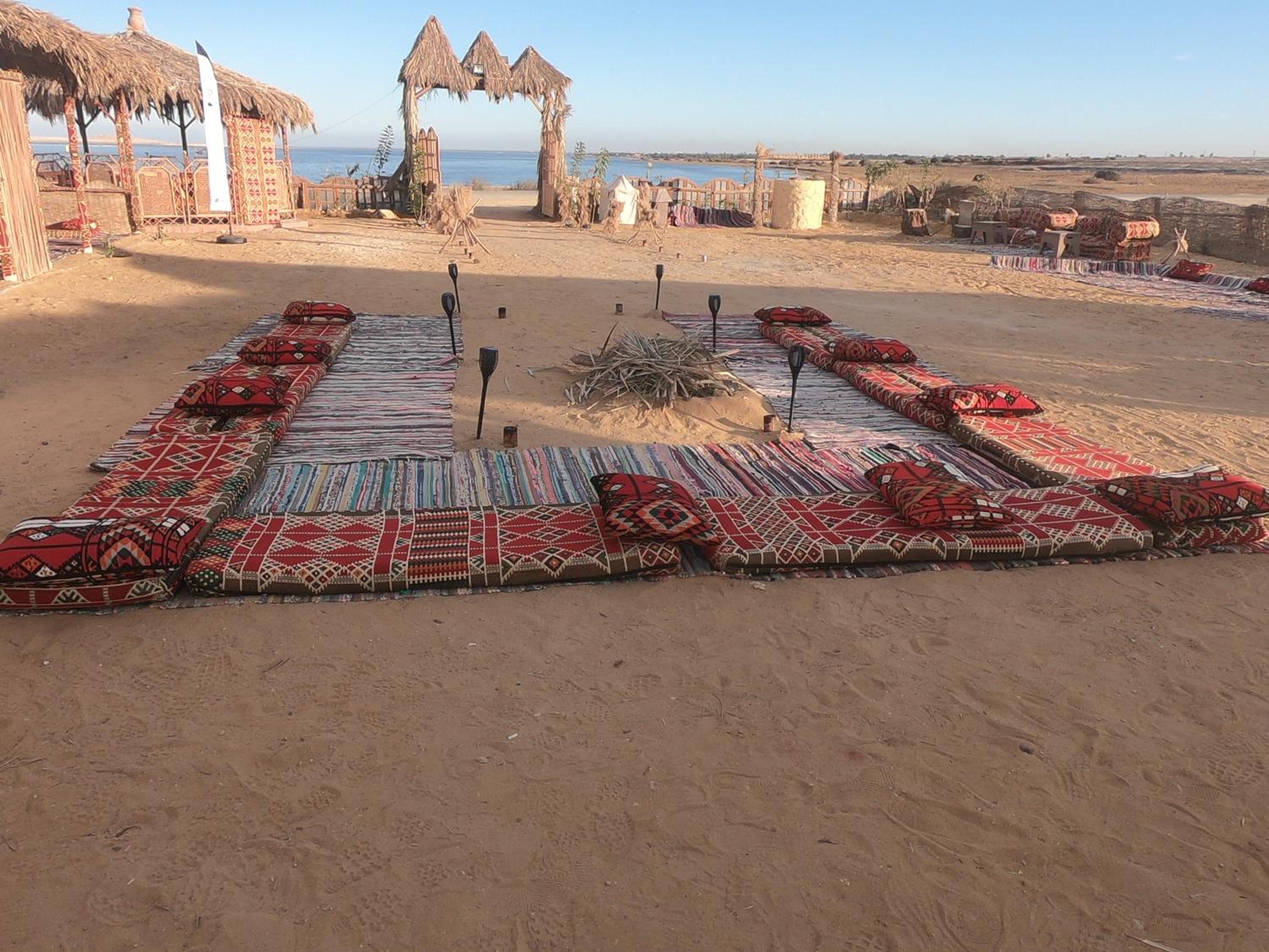 flamingo camp