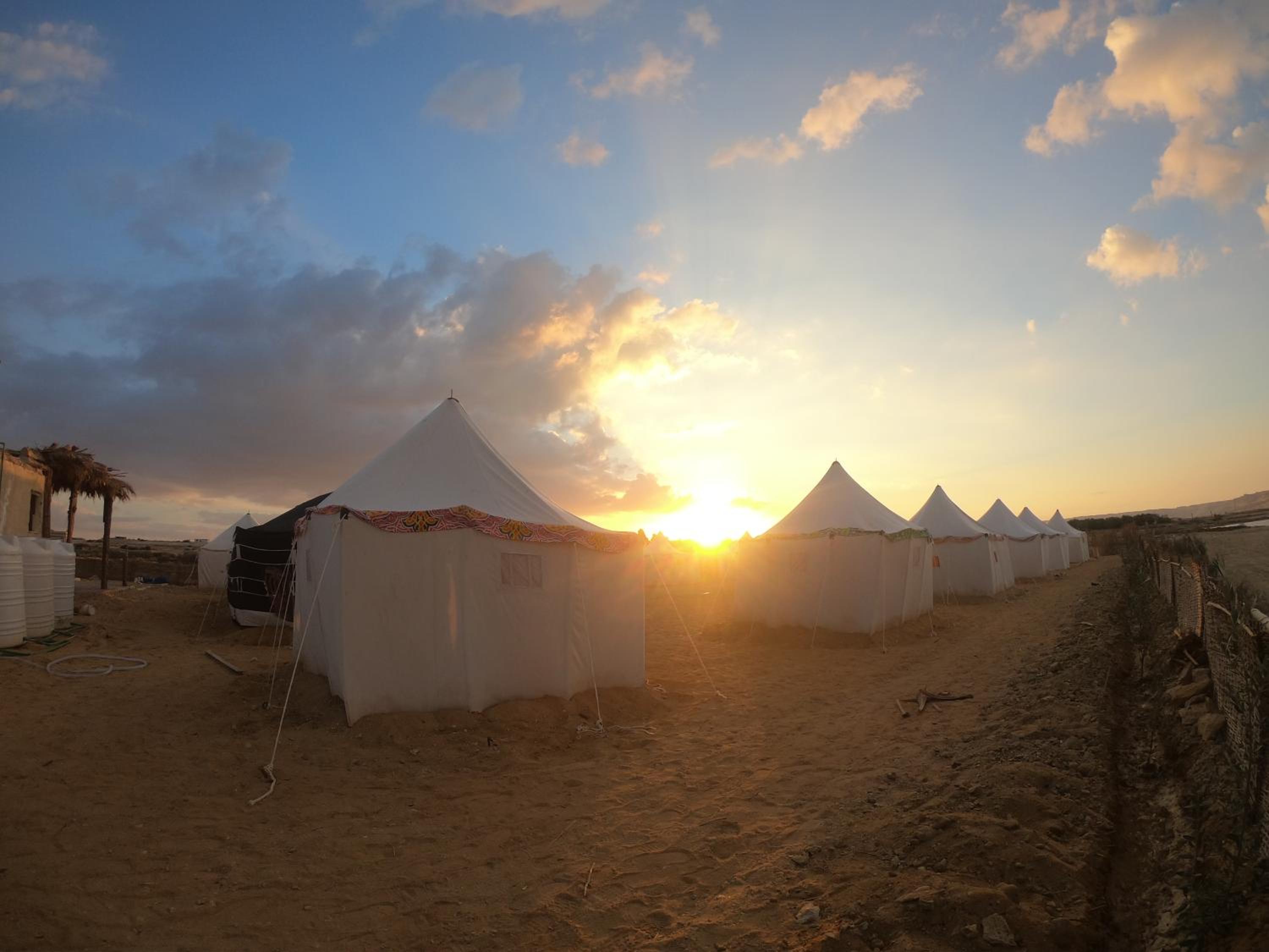 flamingo camp