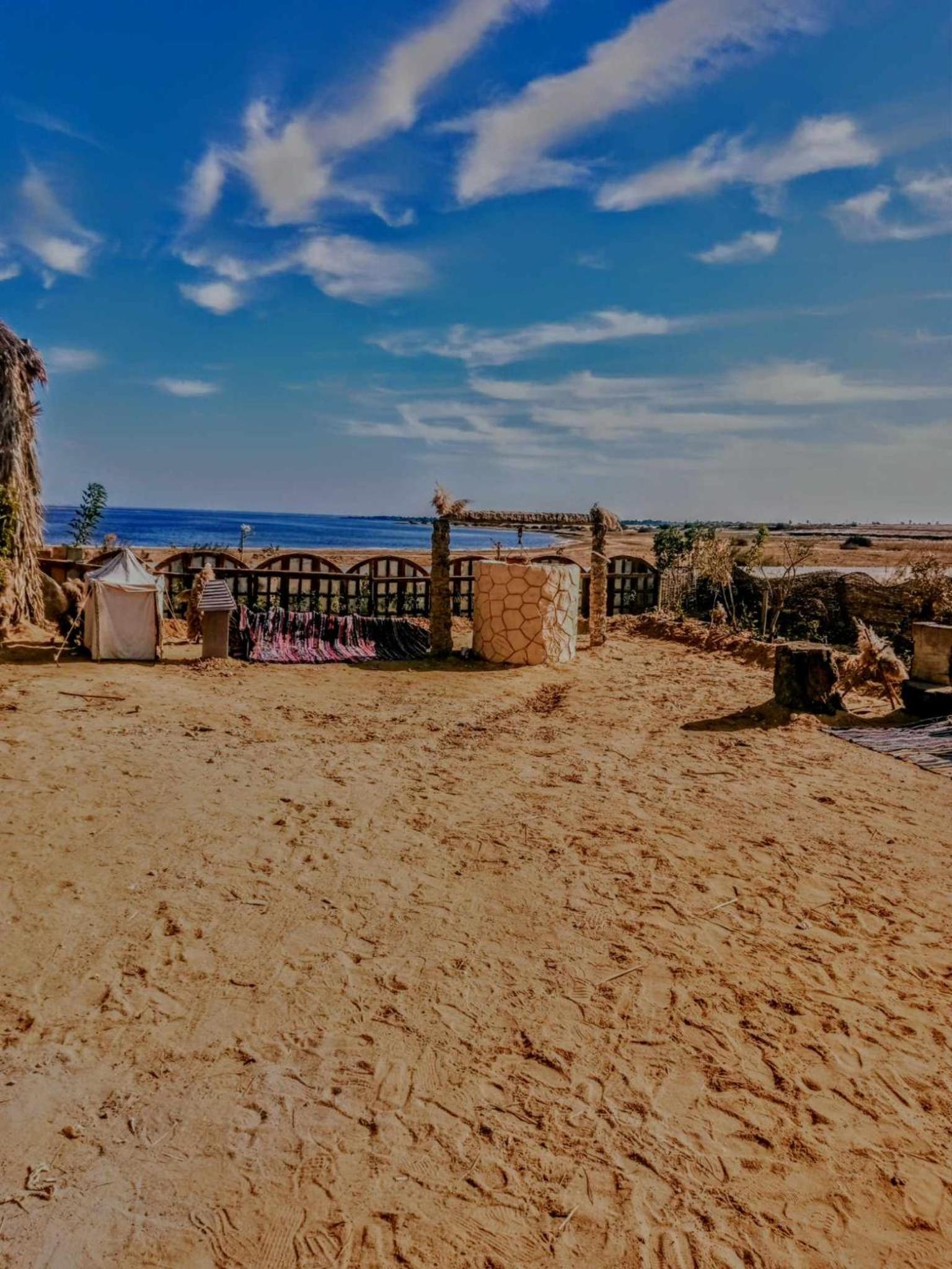 flamingo camp