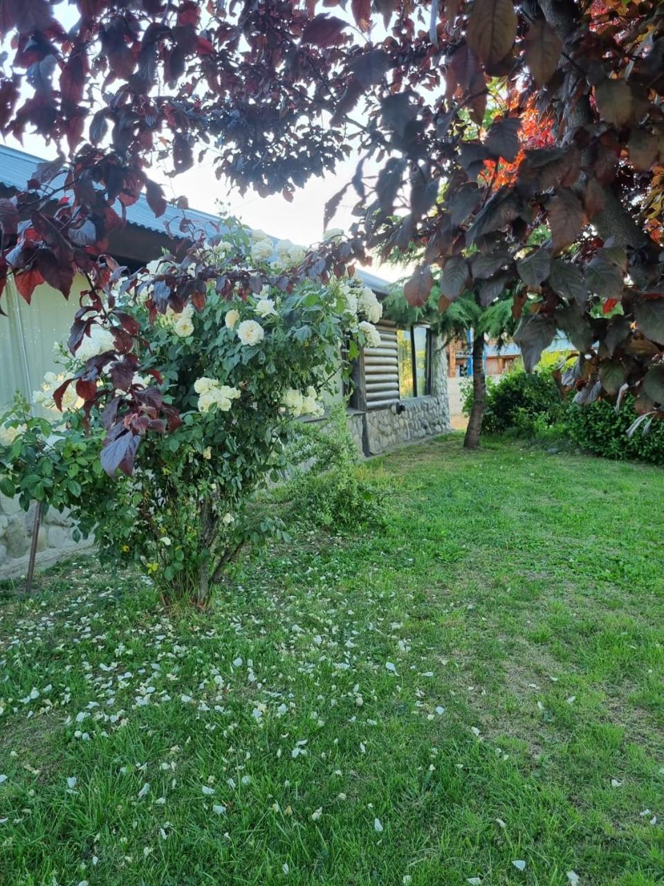 Cabañas La Señalada