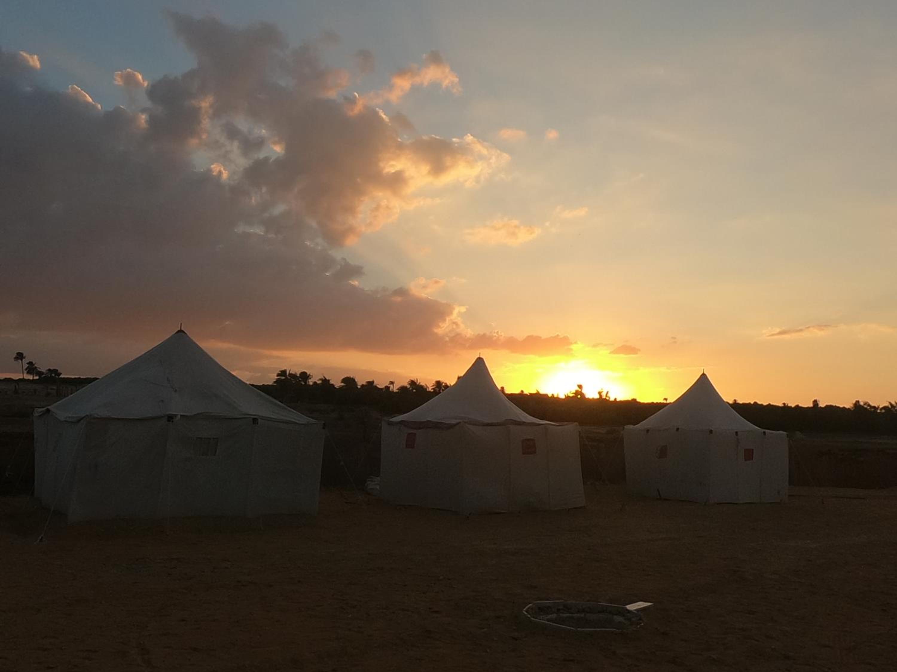 flamingo camp