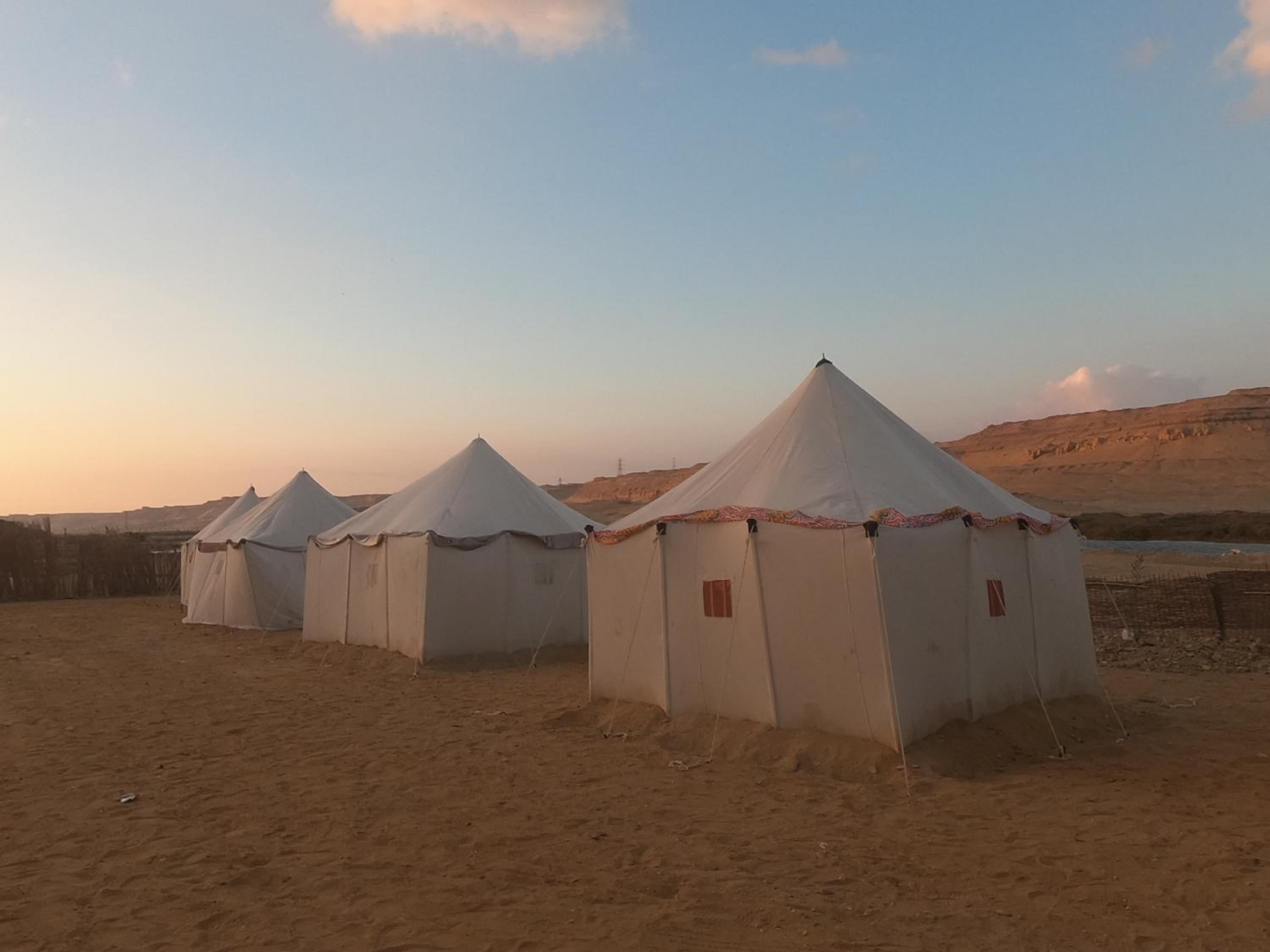 flamingo camp
