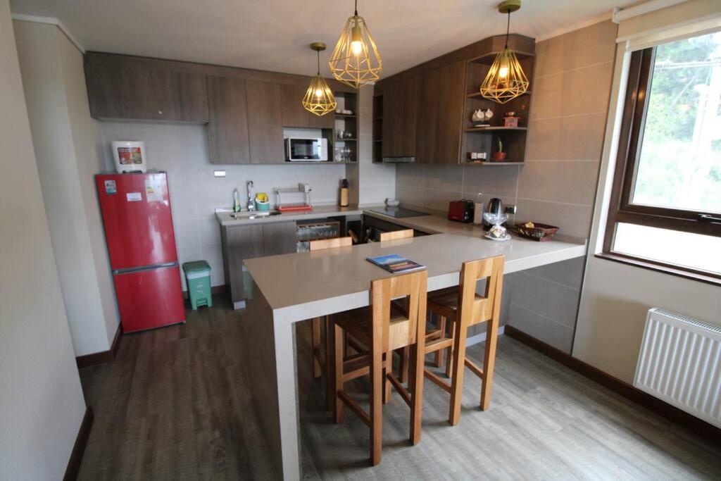 TuArriendoCL-B101 Depto con Hermosa Vista al Lago 4PAX 2D2B