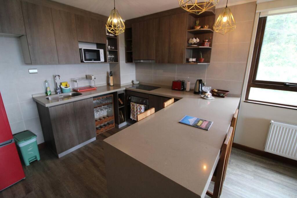 TuArriendoCL-B101 Depto con Hermosa Vista al Lago 4PAX 2D2B