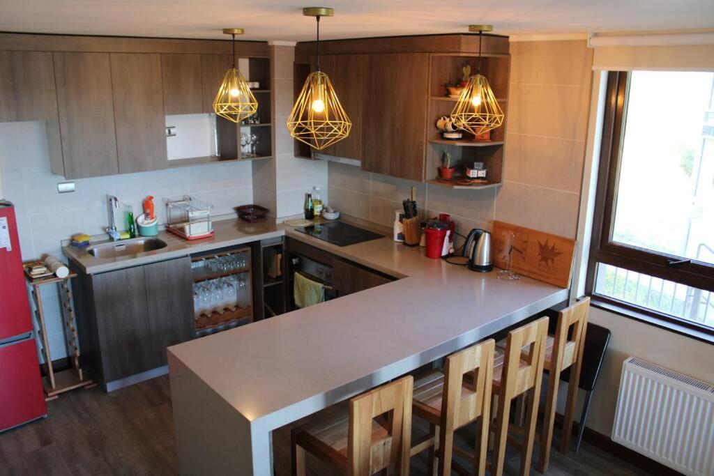 TuArriendoCL-B101 Depto con Hermosa Vista al Lago 4PAX 2D2B
