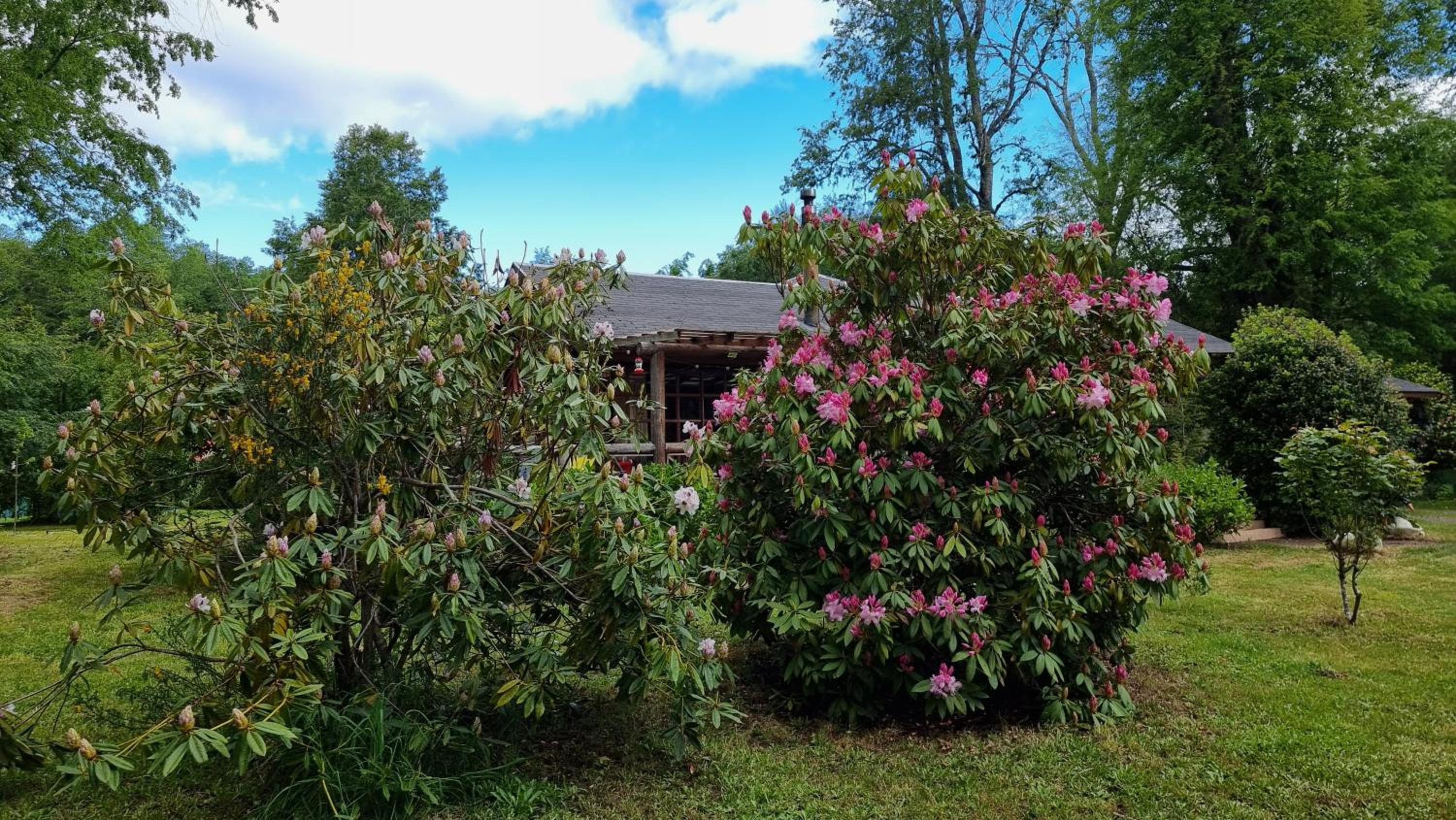 La Casa del Árbol Villarrica Cabañas-Piscina-Tinajas