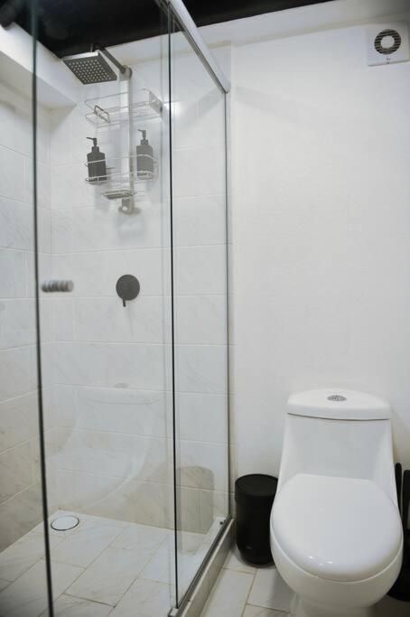 Roma Apartment with Private Terrace in CDMX photo 5