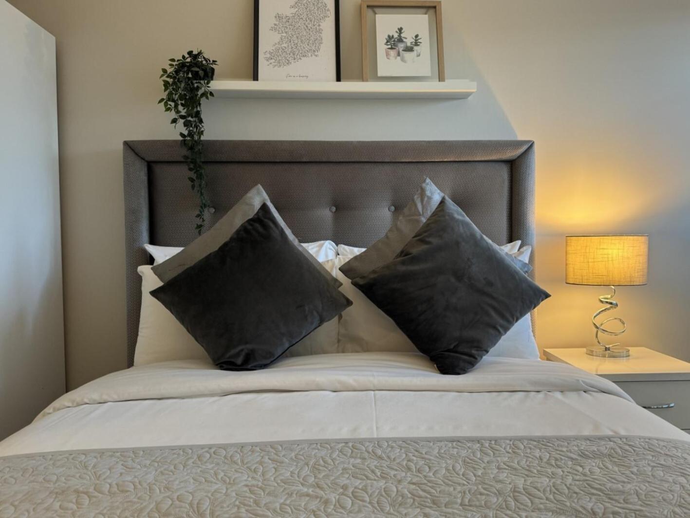 Central Belfast Apartments Sandford