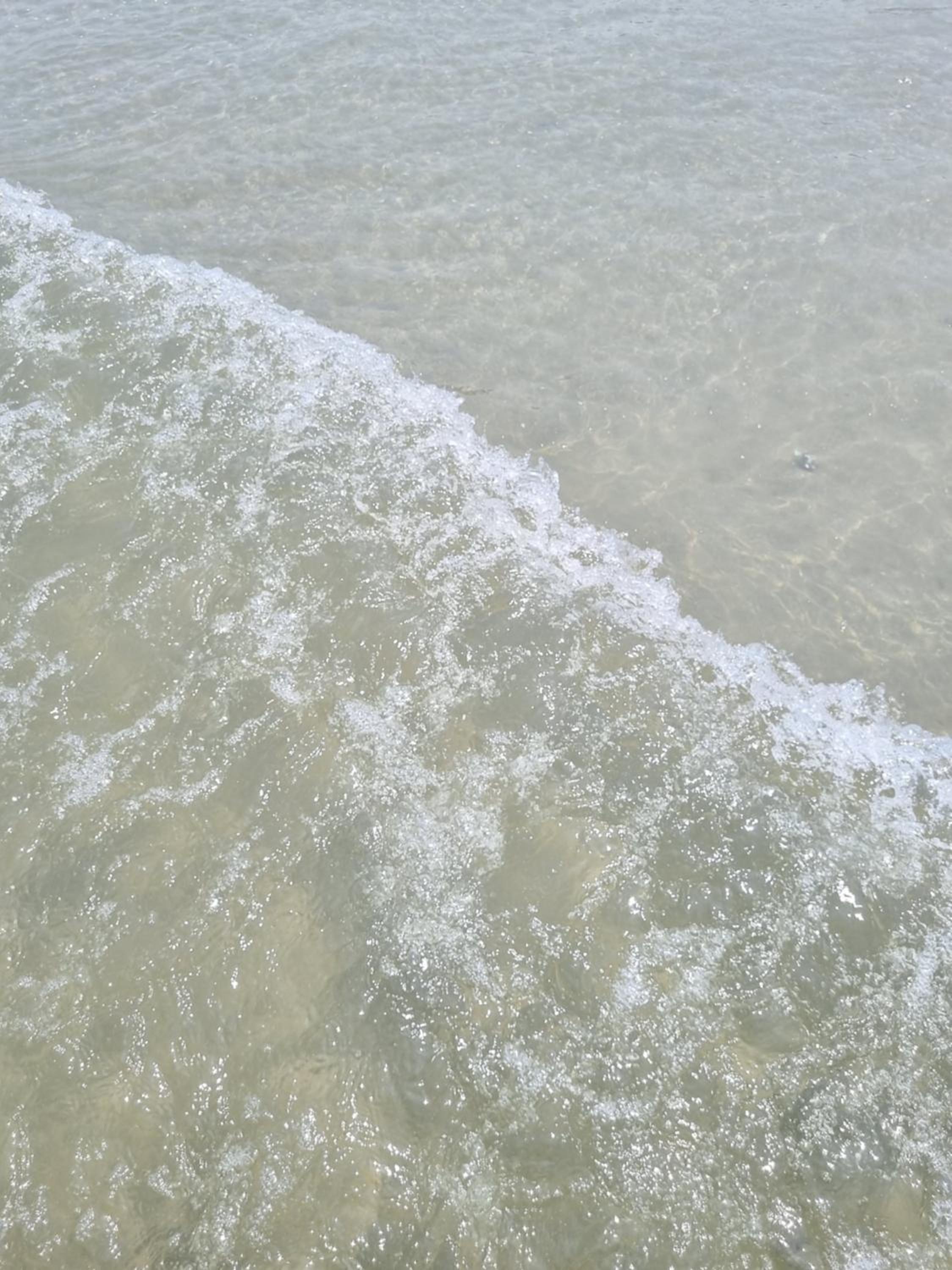 Apartamento na praia santos vaga rotativa