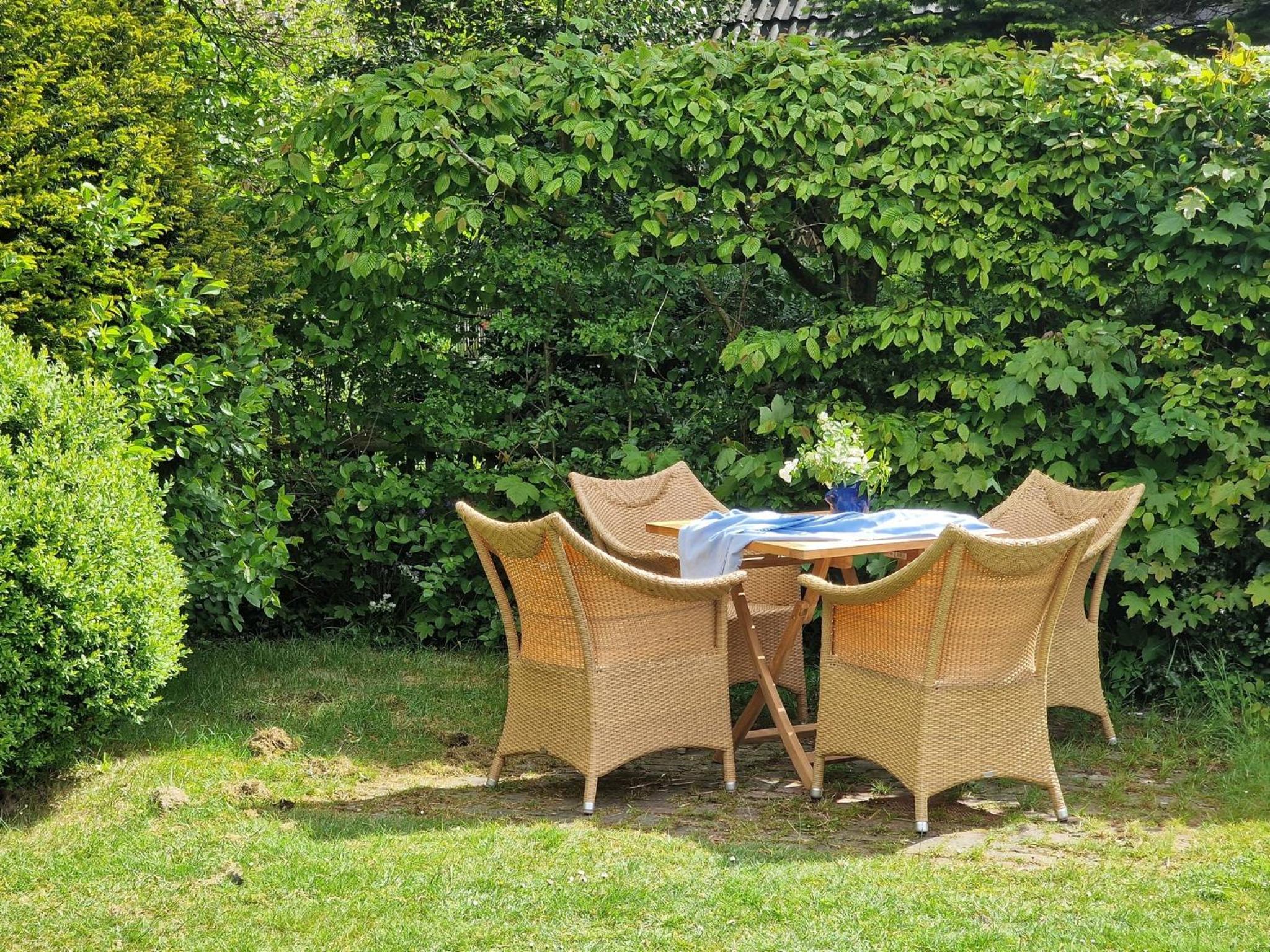 Wohnung Strandflieder