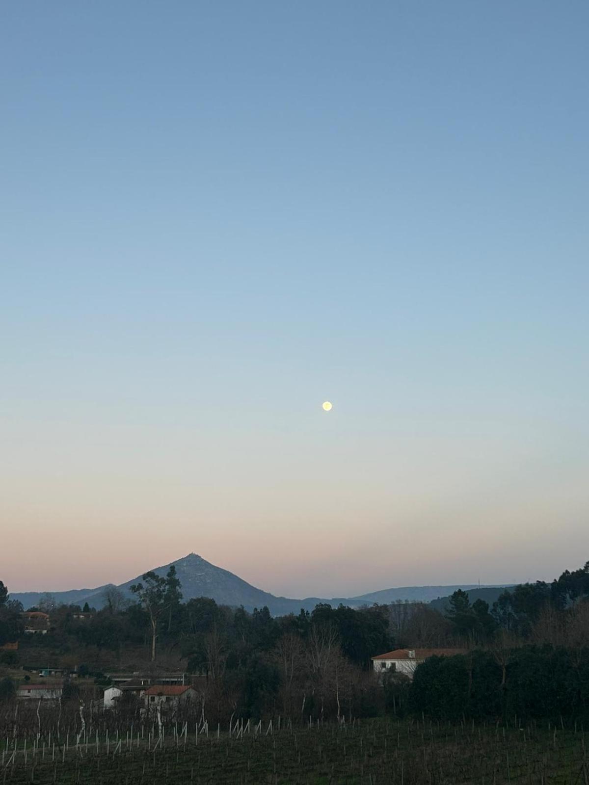 Quinta da Lage Agroturismo e Enoturismo view 2