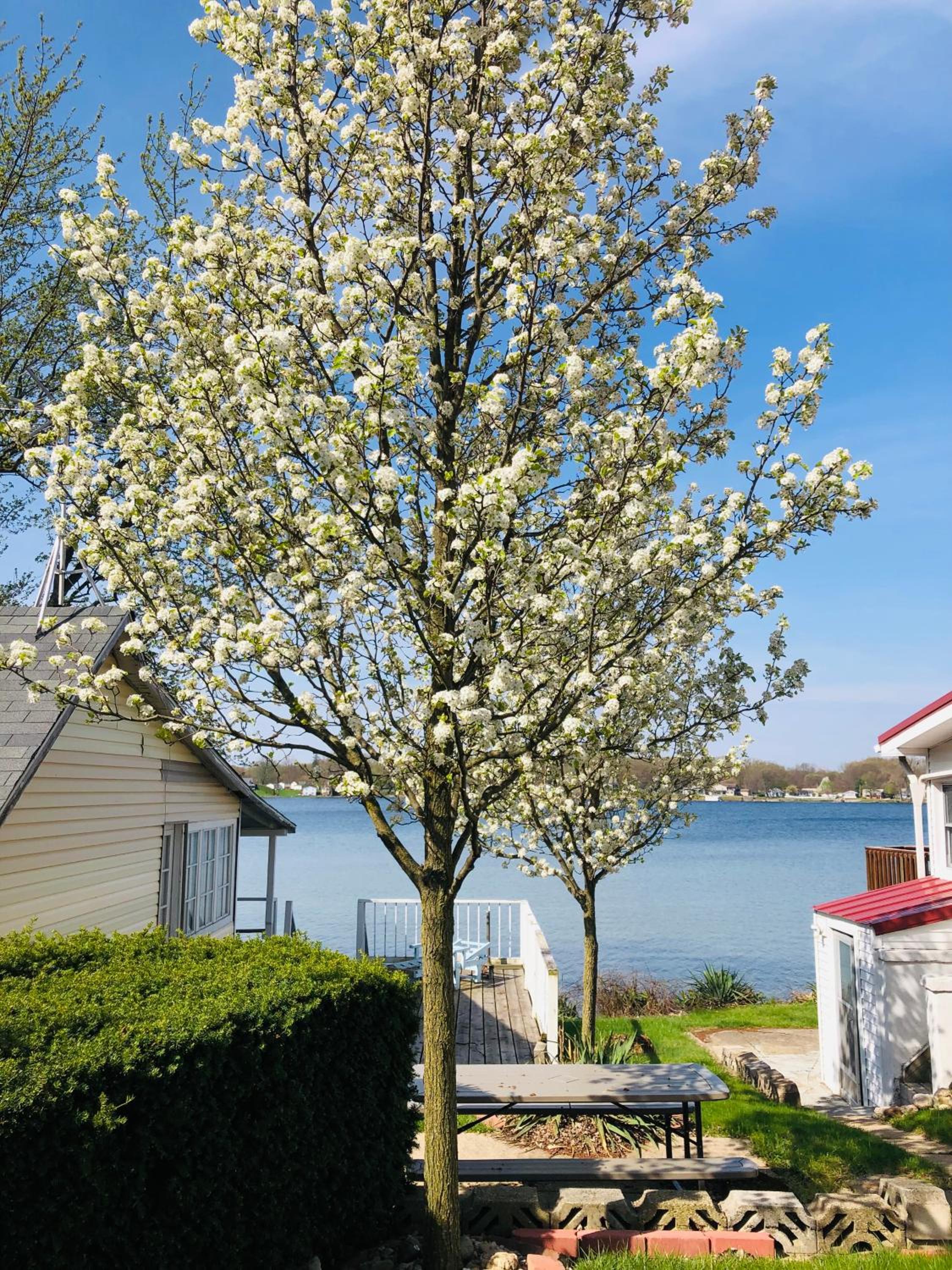 The Wellington Lake Cottage