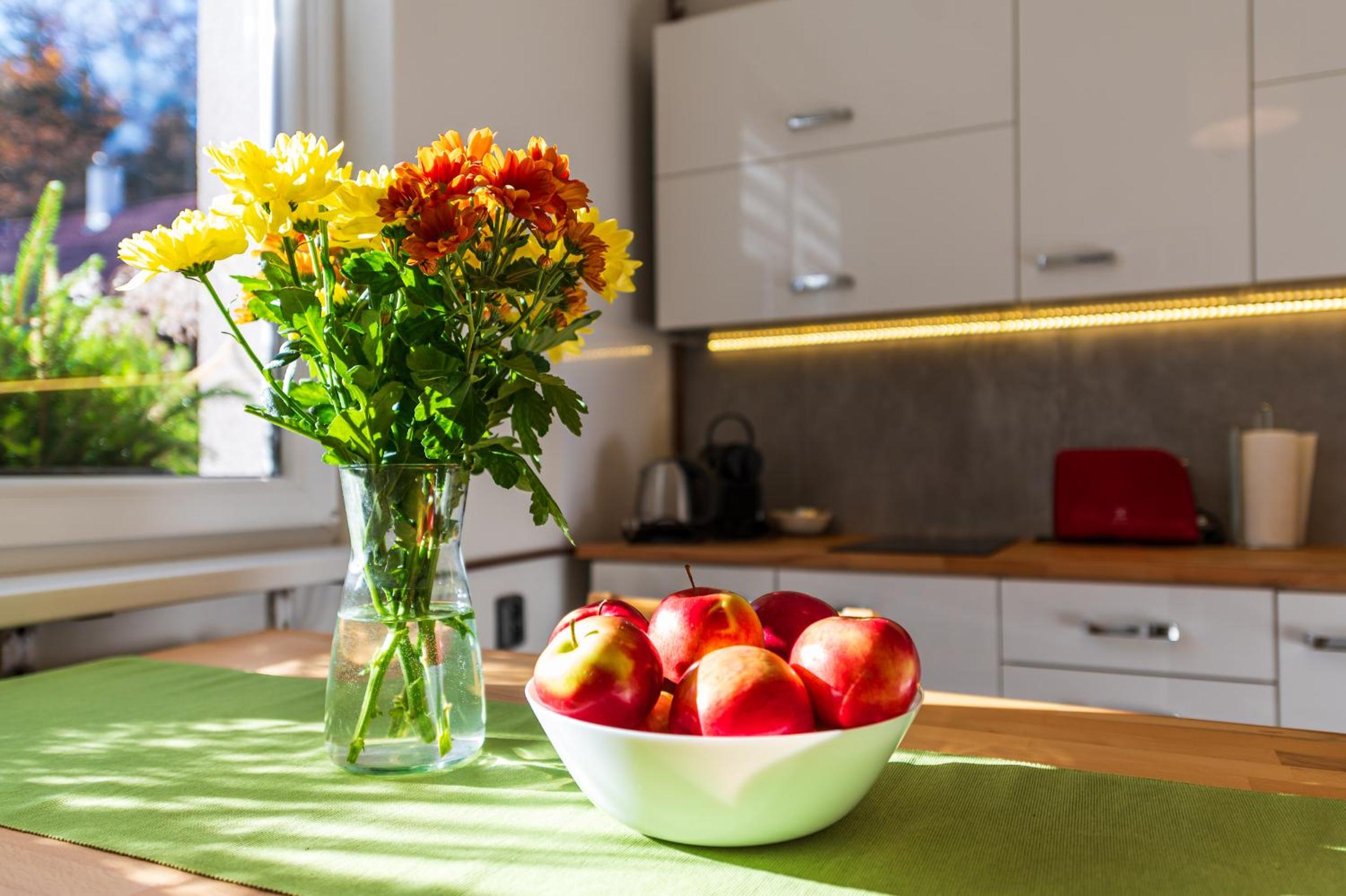 Ubytování na samotě - Apartmán U Tesařů