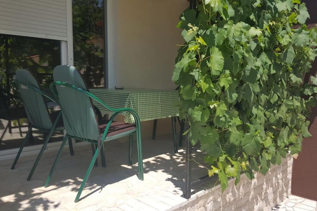 Hacijenda za odmor iz snova uz potpunu privatnost Januarac Jan