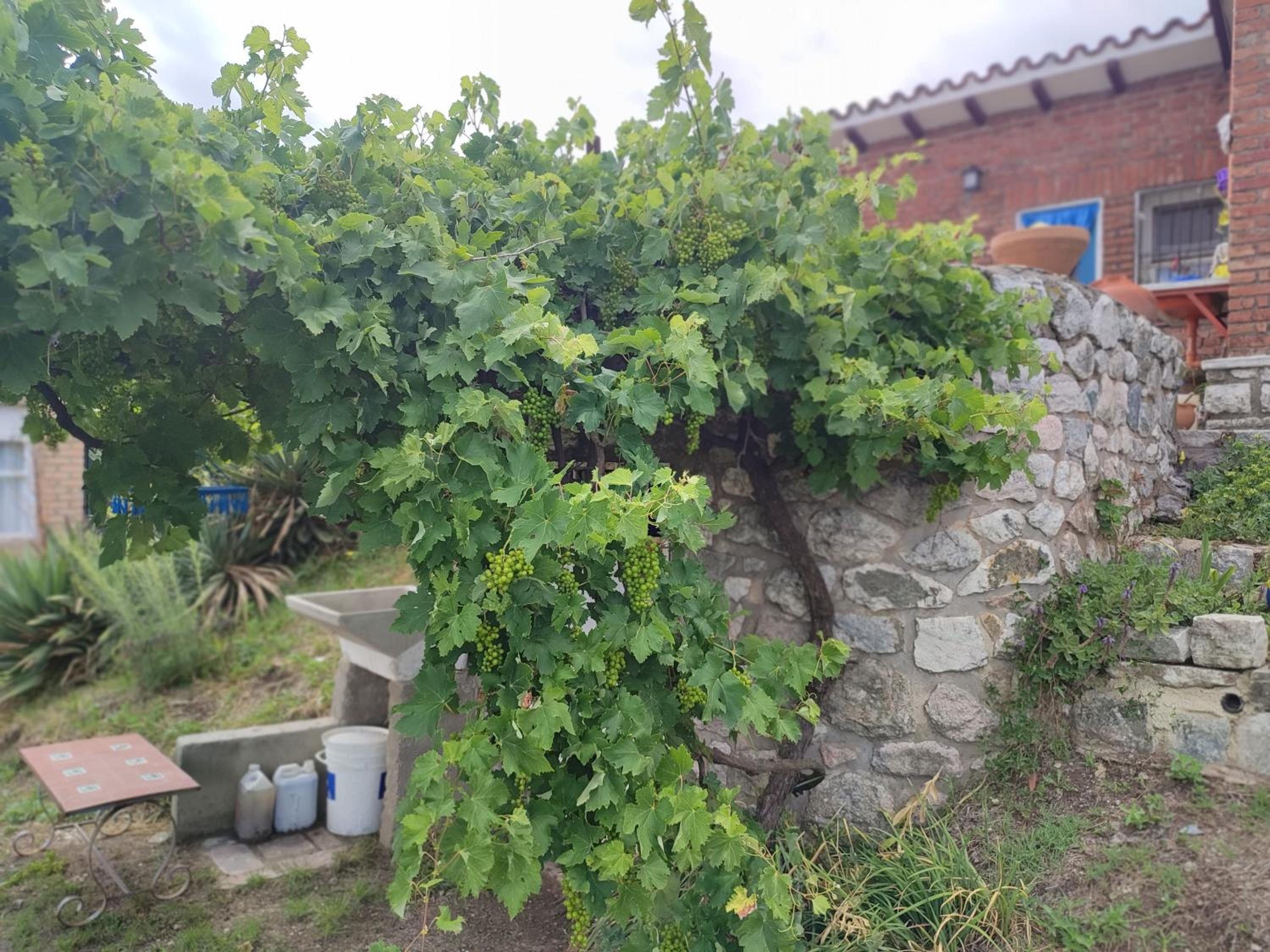 Cabañas Olluhuasi