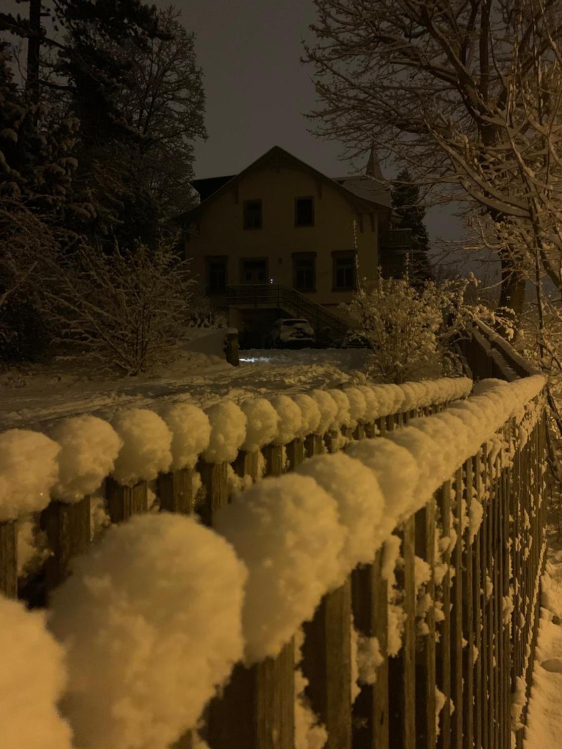 Ferienwohnung Villa Grützner