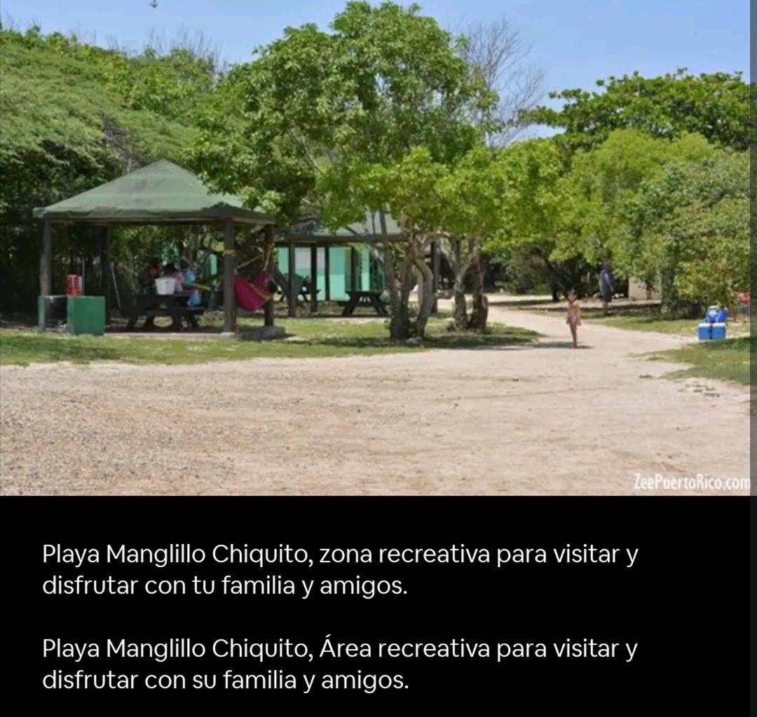 Photo 31