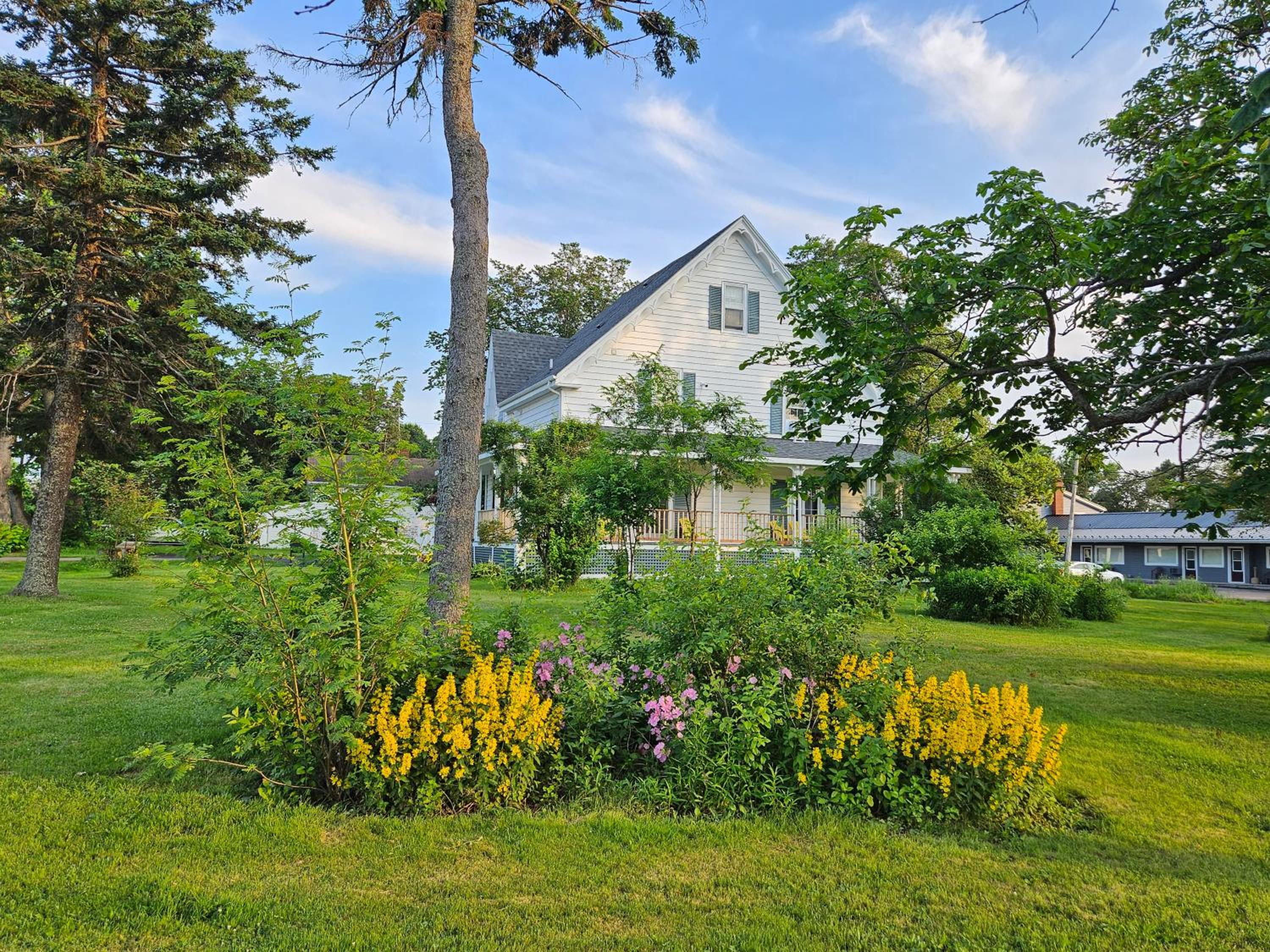 Sunflower Guest Suites