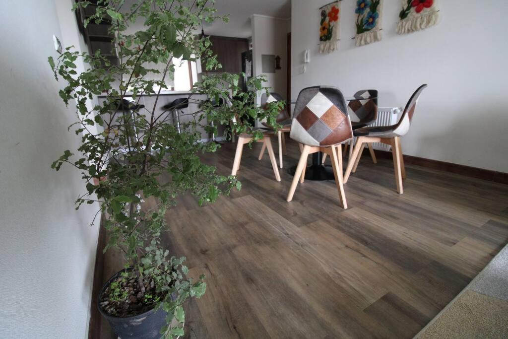 TuArriendoCL-MPHA106 Gran Depto en Pto Varas 3D2B 6PAX sin vista primer piso con jardin