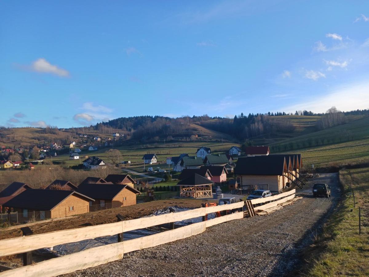 Motylowe Wzgórze Zawóz Bieszczady view 3
