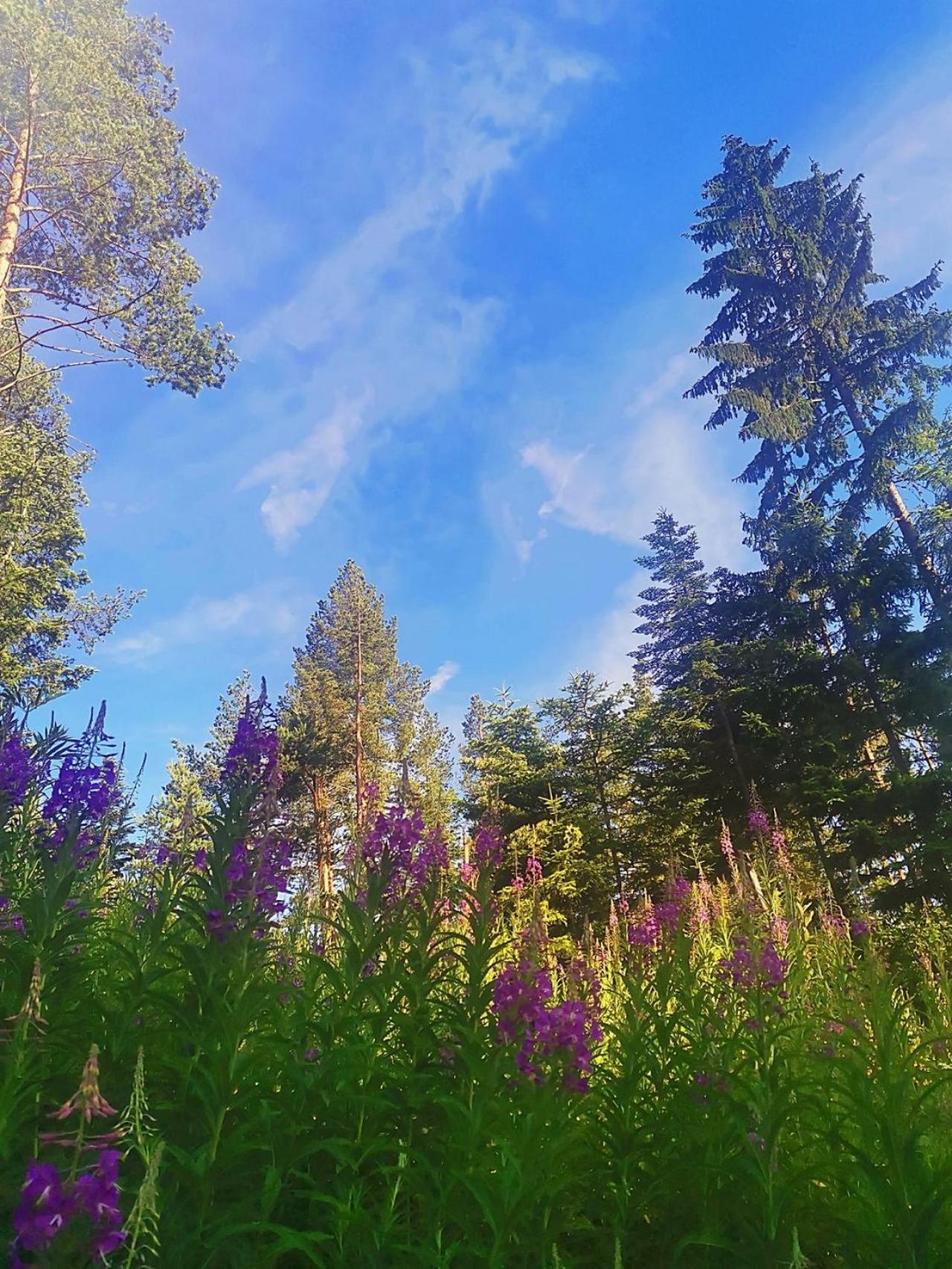 Vikendica Pale