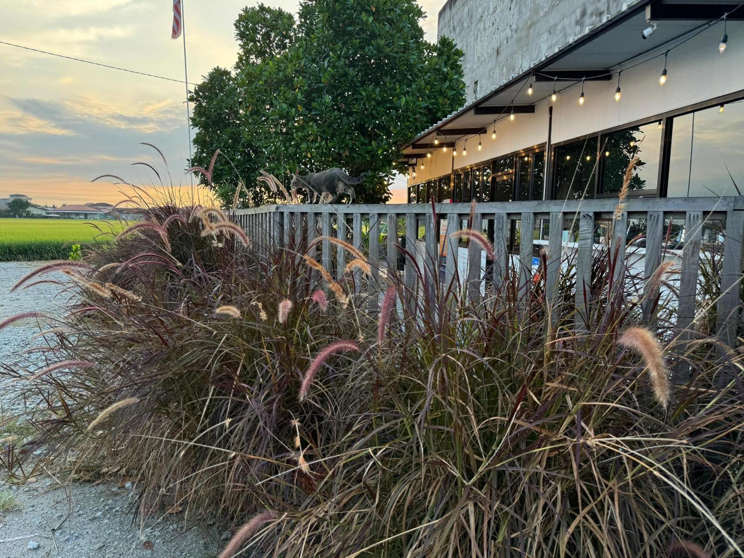 MostPopular!!! Hay Cafe TranquilFields - OnlyYou with Hay, Rentable For Event photo 8