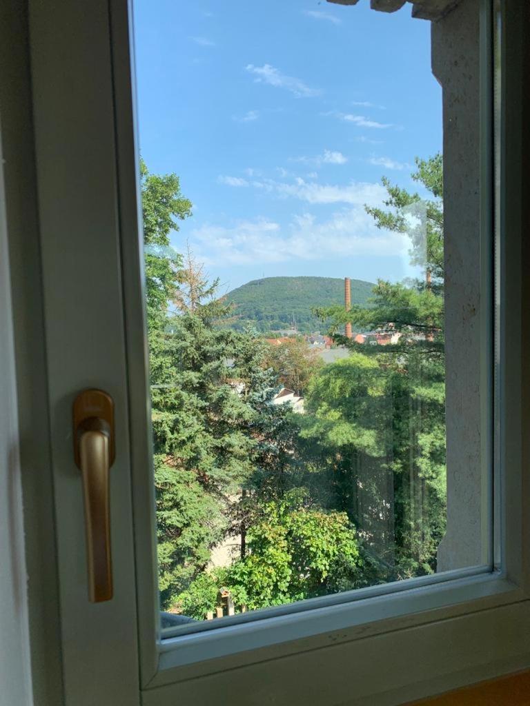 Ferienwohnung Villa Grützner