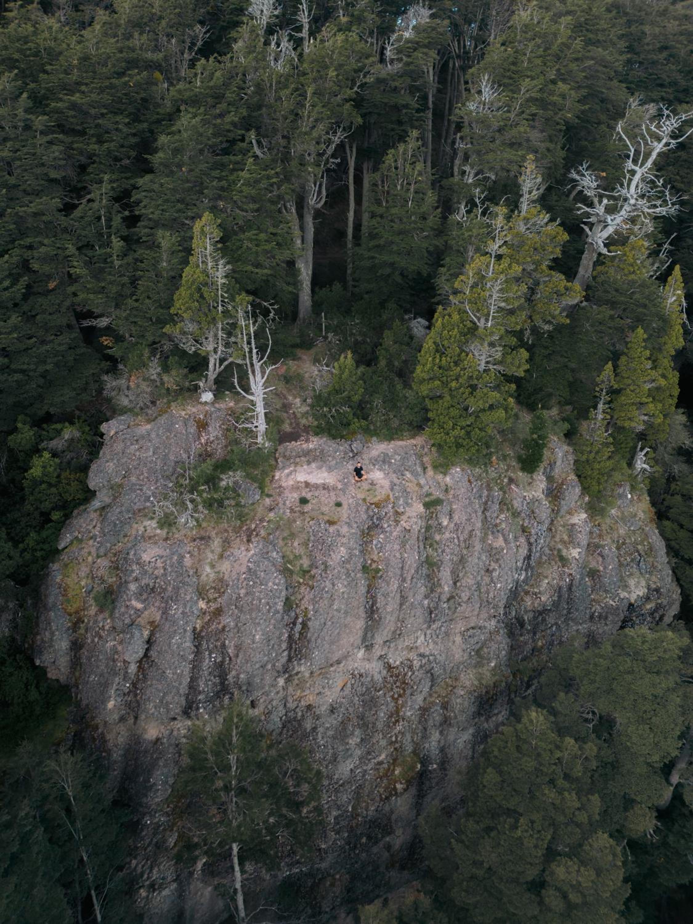 El Bosque