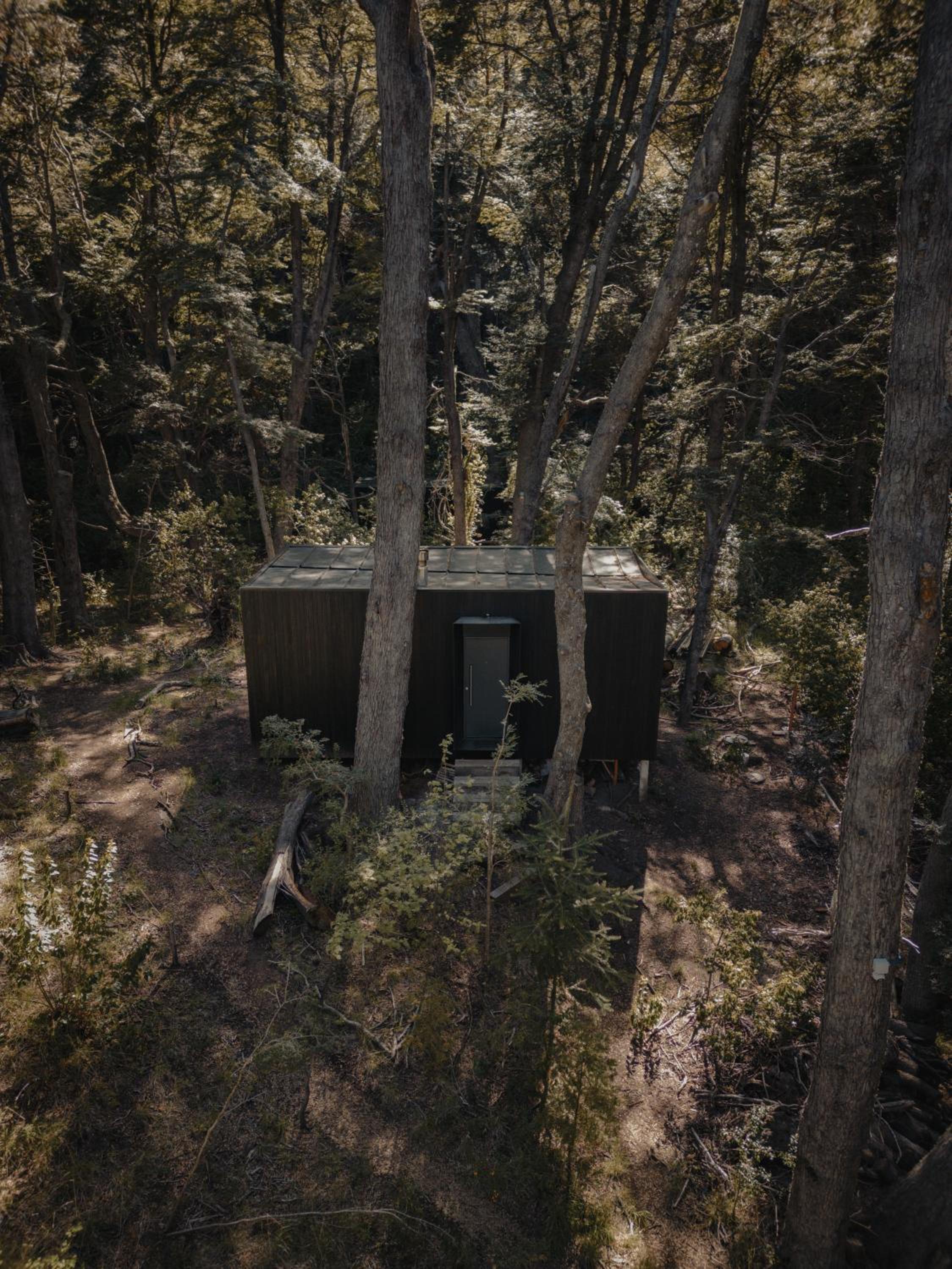 El Bosque