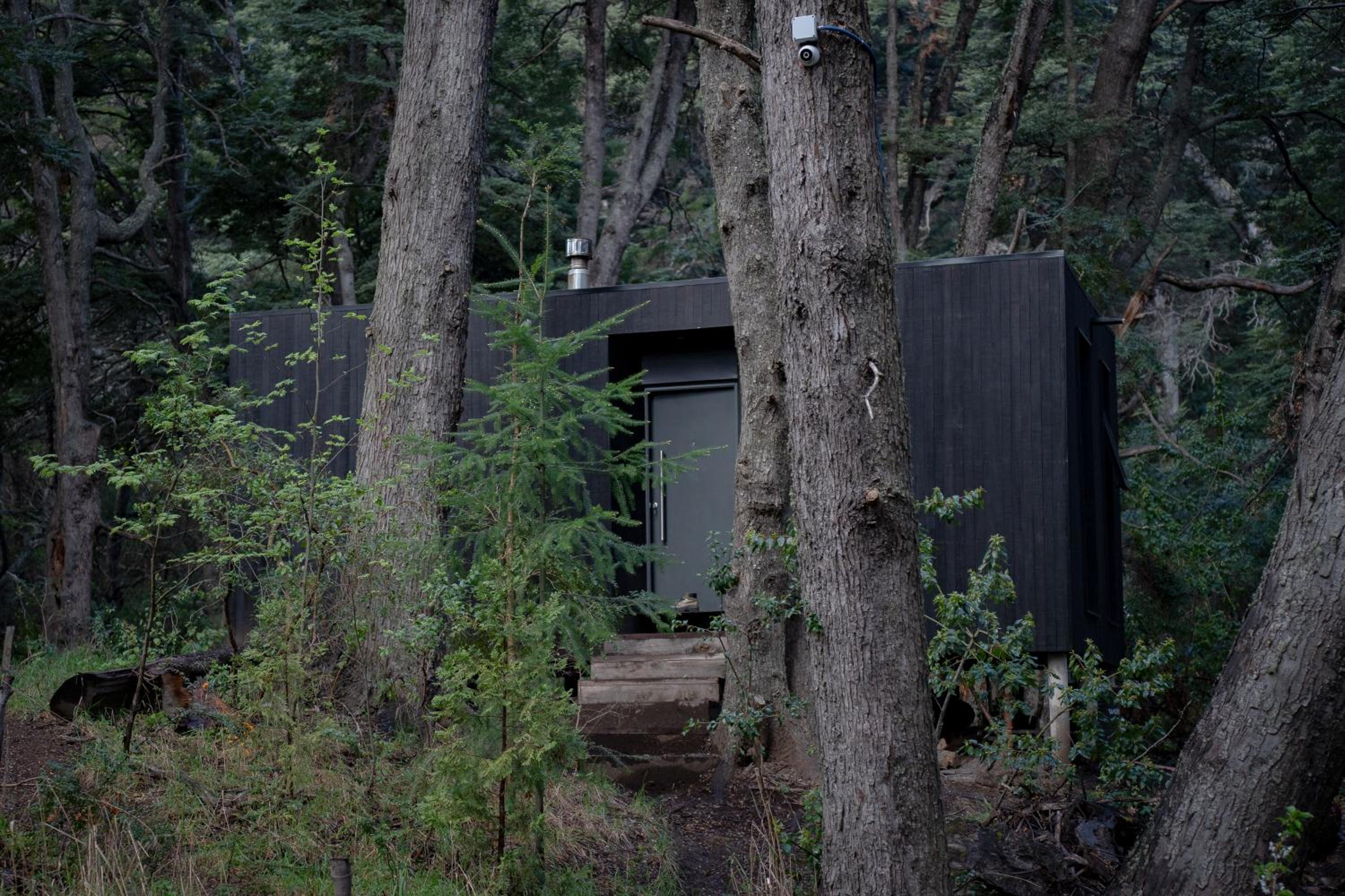 El Bosque