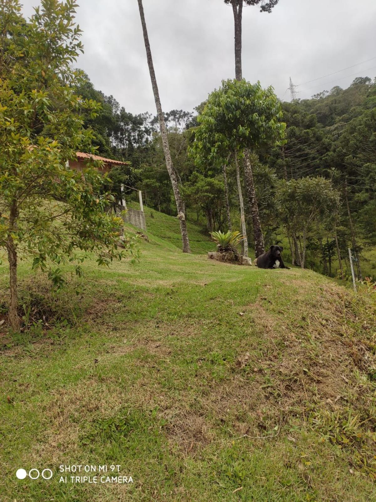 Chalés do GreenGo