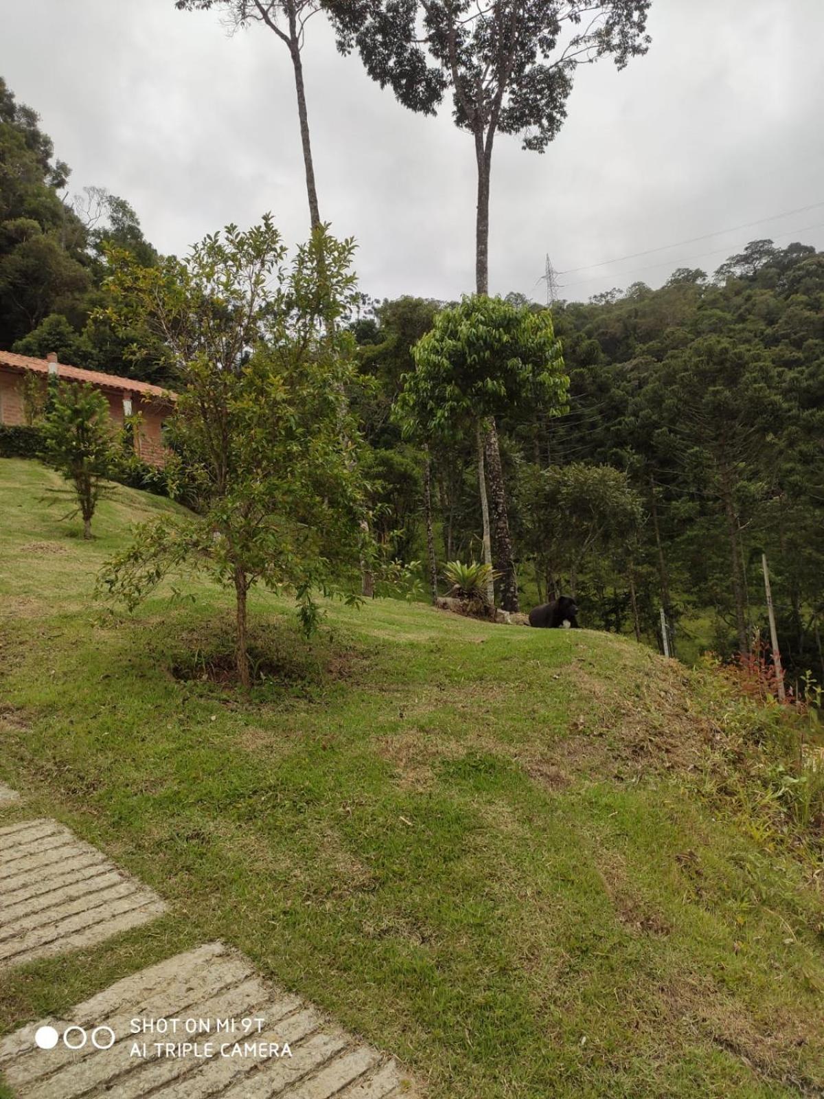 Chalés do GreenGo