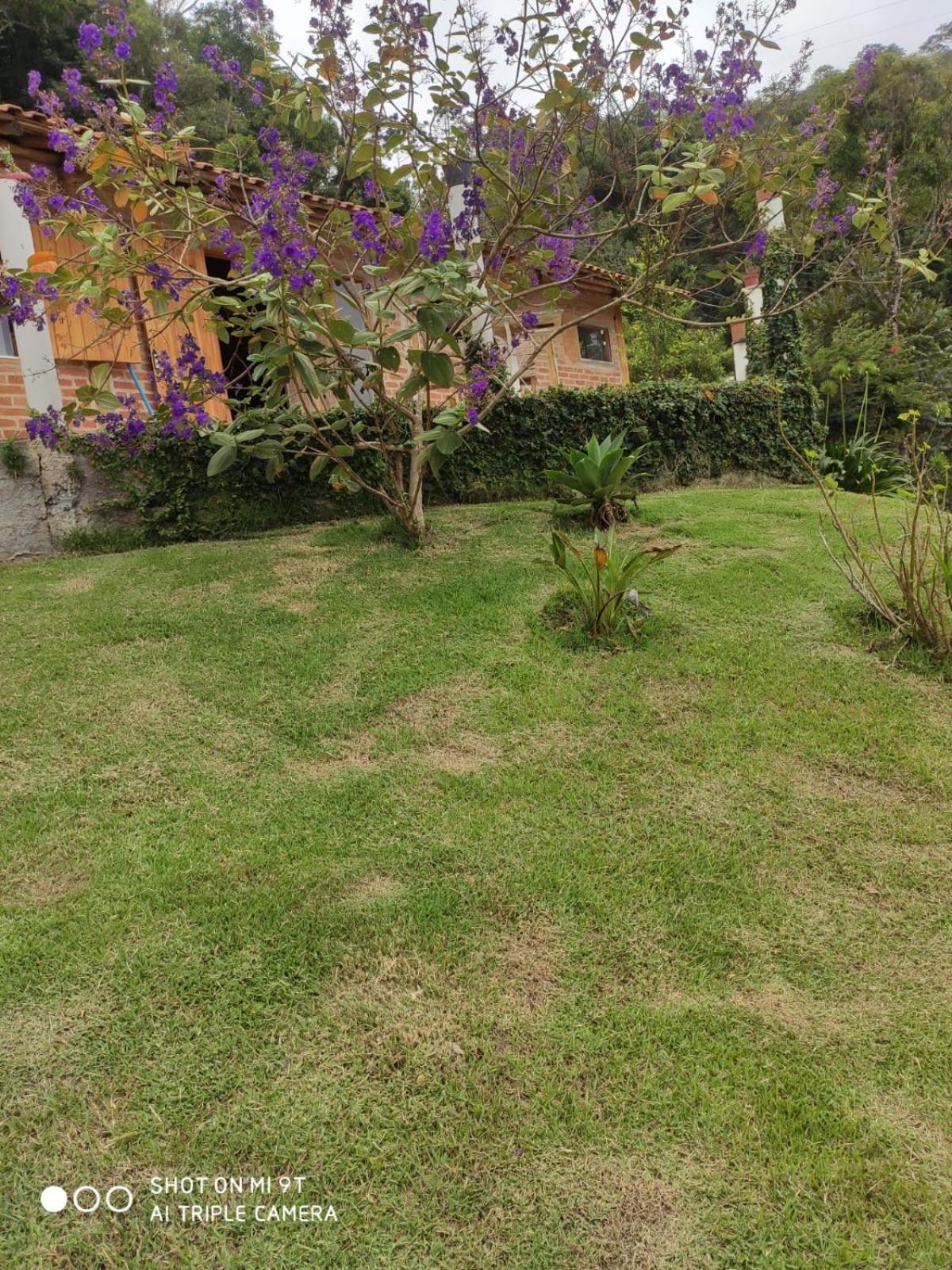 Chalés do GreenGo