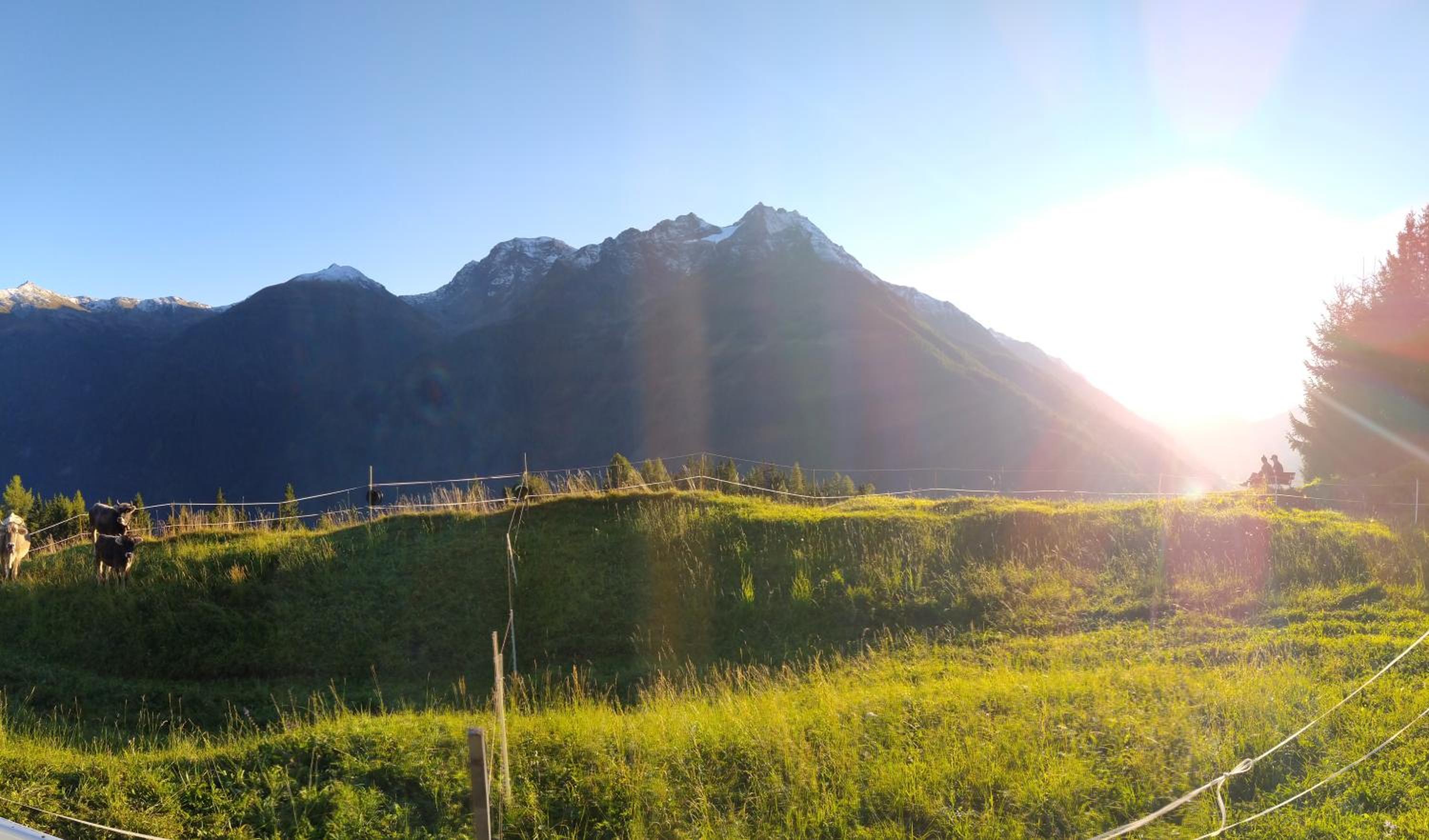 Arlberghaus Rocks