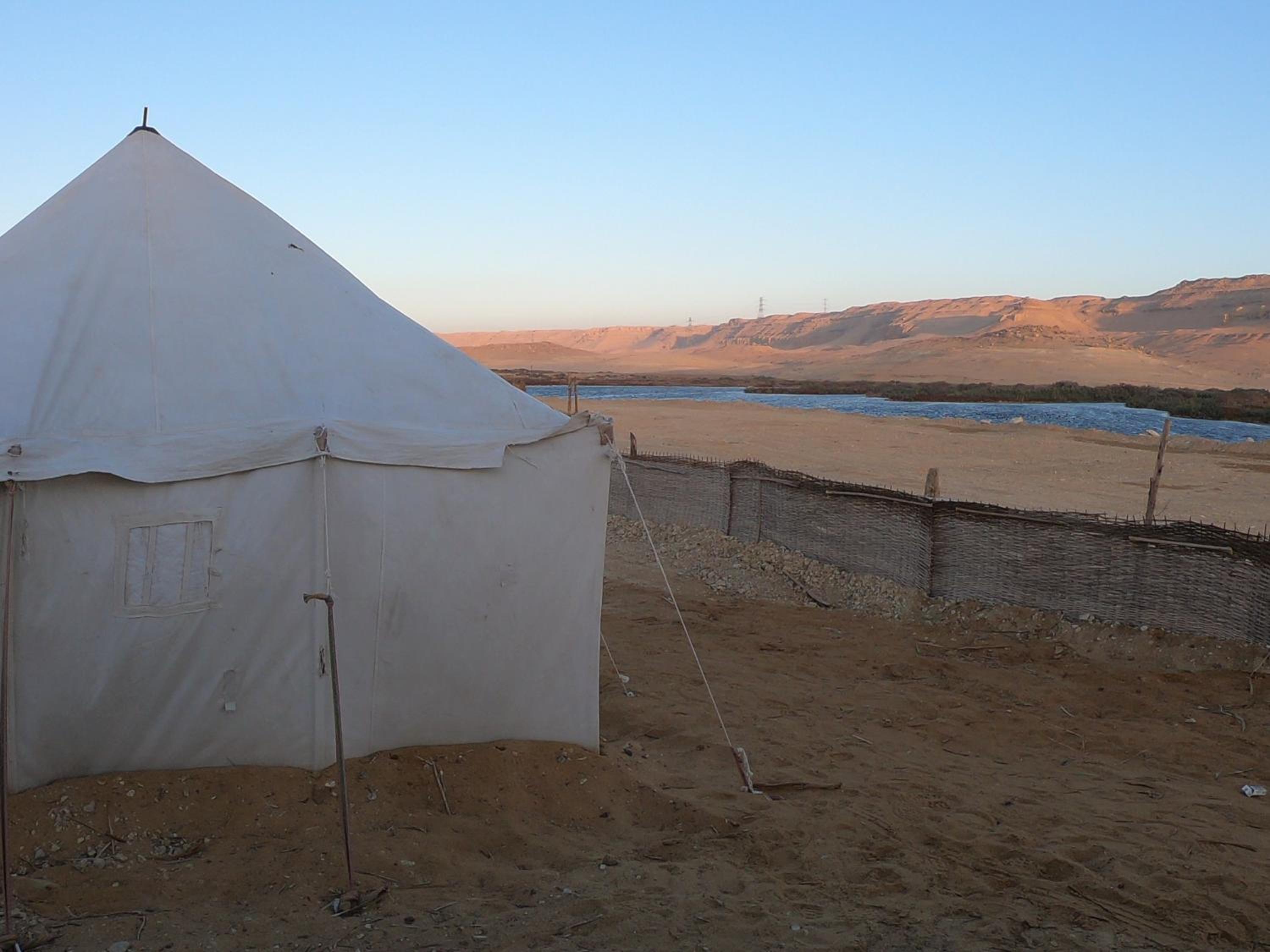flamingo camp