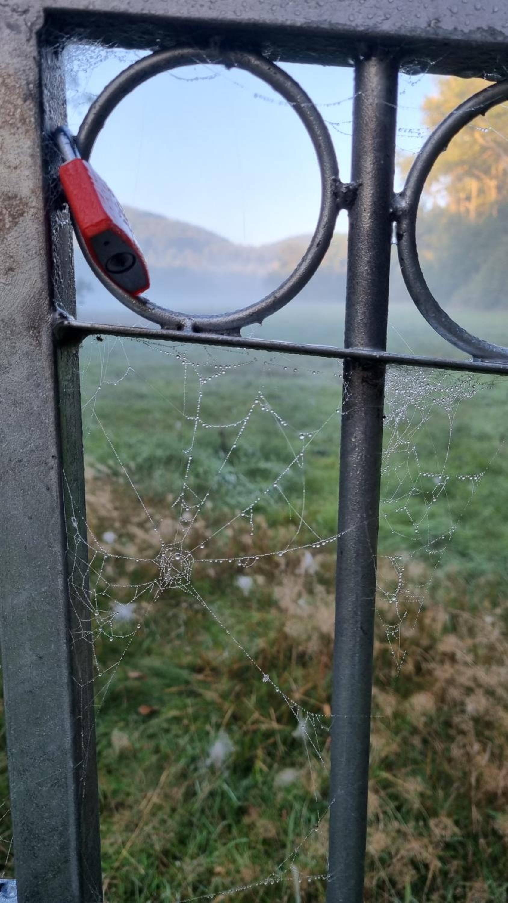 Ferienhaus Rehblick - direkt in der Natur, mit Lesezimmer und zwei Terrassen
