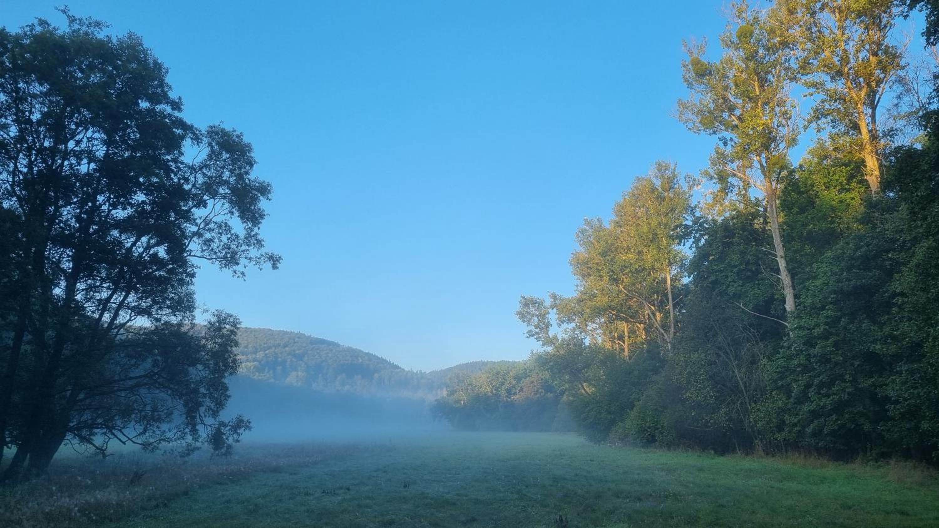 Ferienhaus Rehblick - direkt in der Natur, mit Lesezimmer und zwei Terrassen