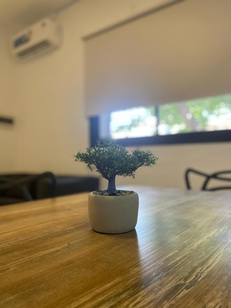 Punto House II