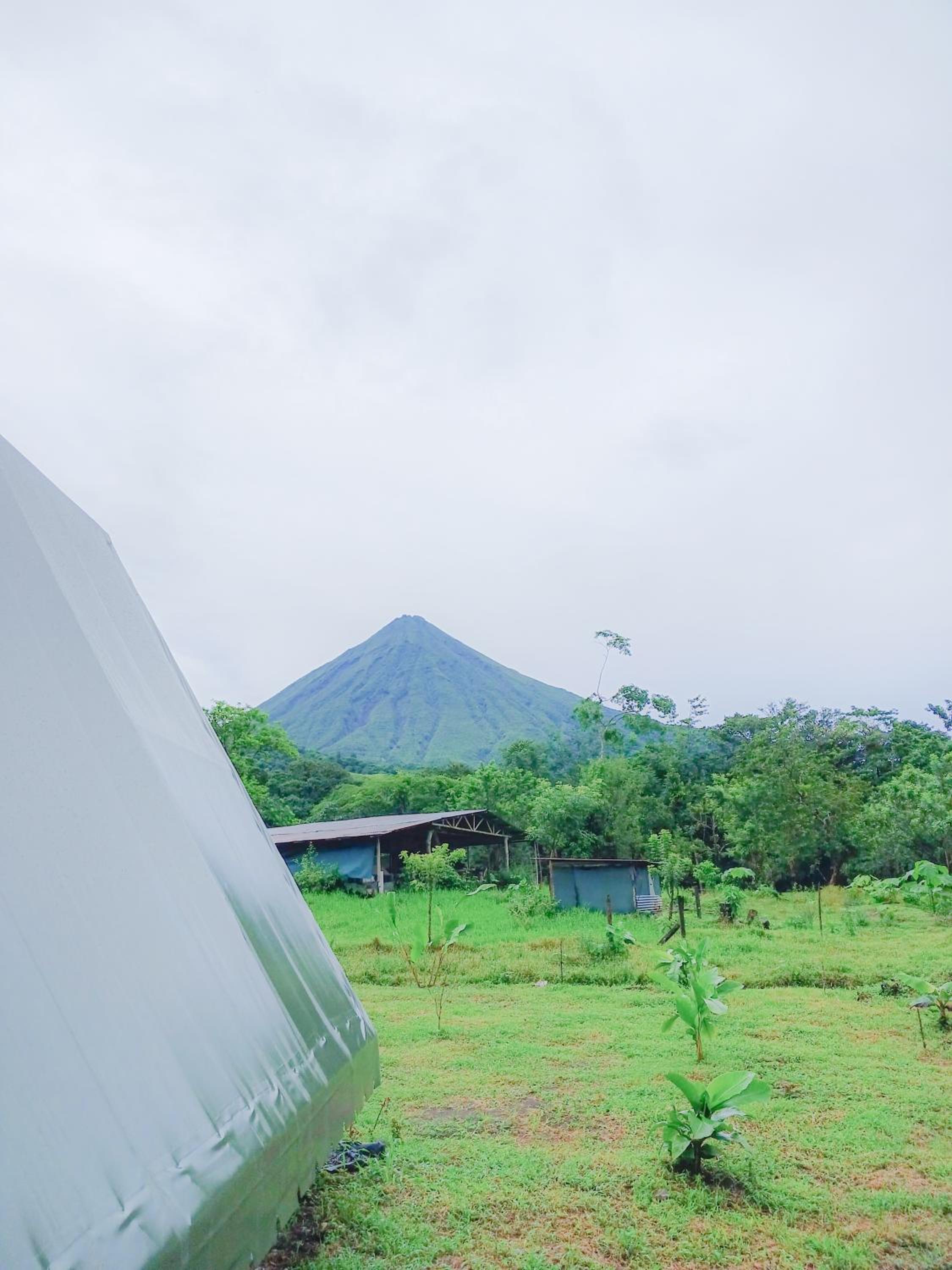 Flora Glamping de Abuela