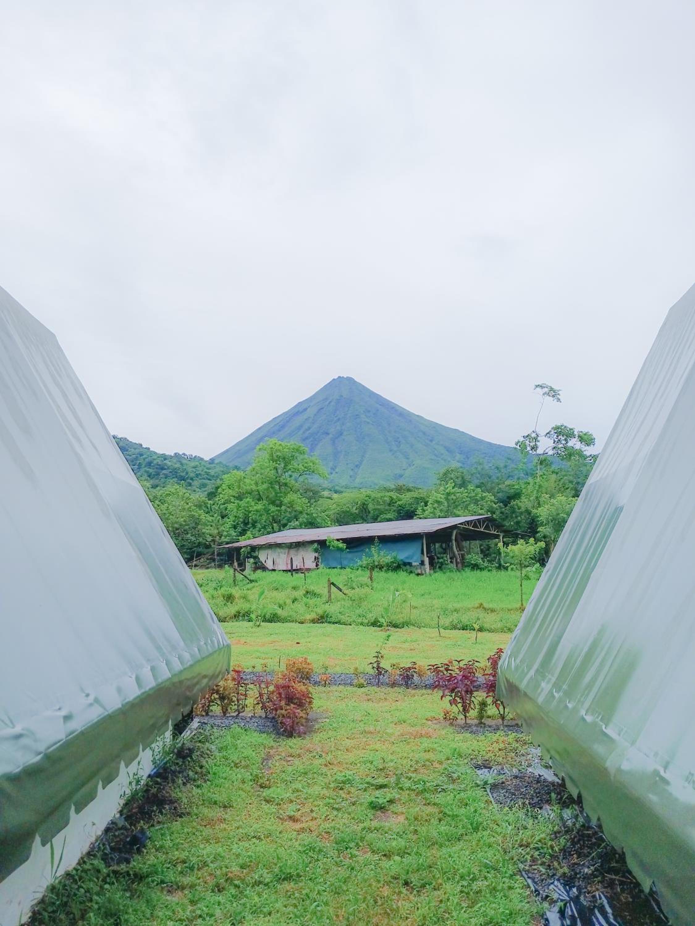 Flora Glamping de Abuela